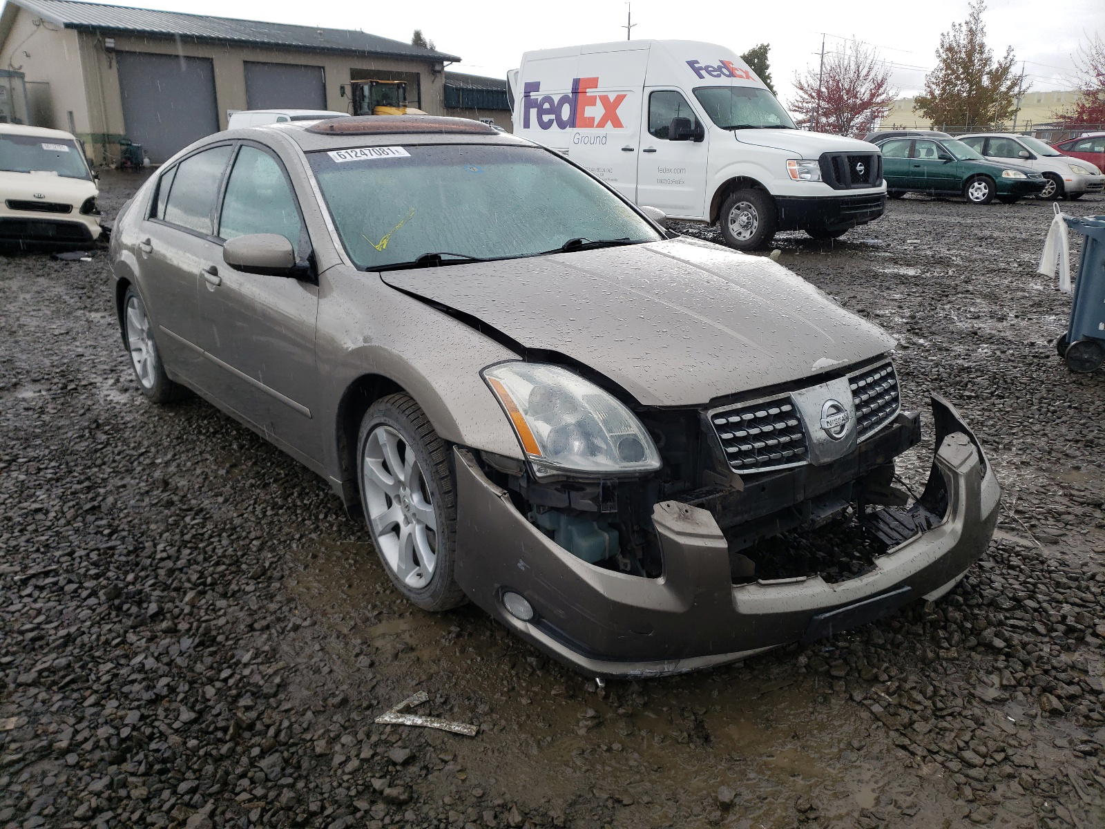 NISSAN MAXIMA SE 2005 with VIN 1N4BA41E95C843262 - Photo from auction