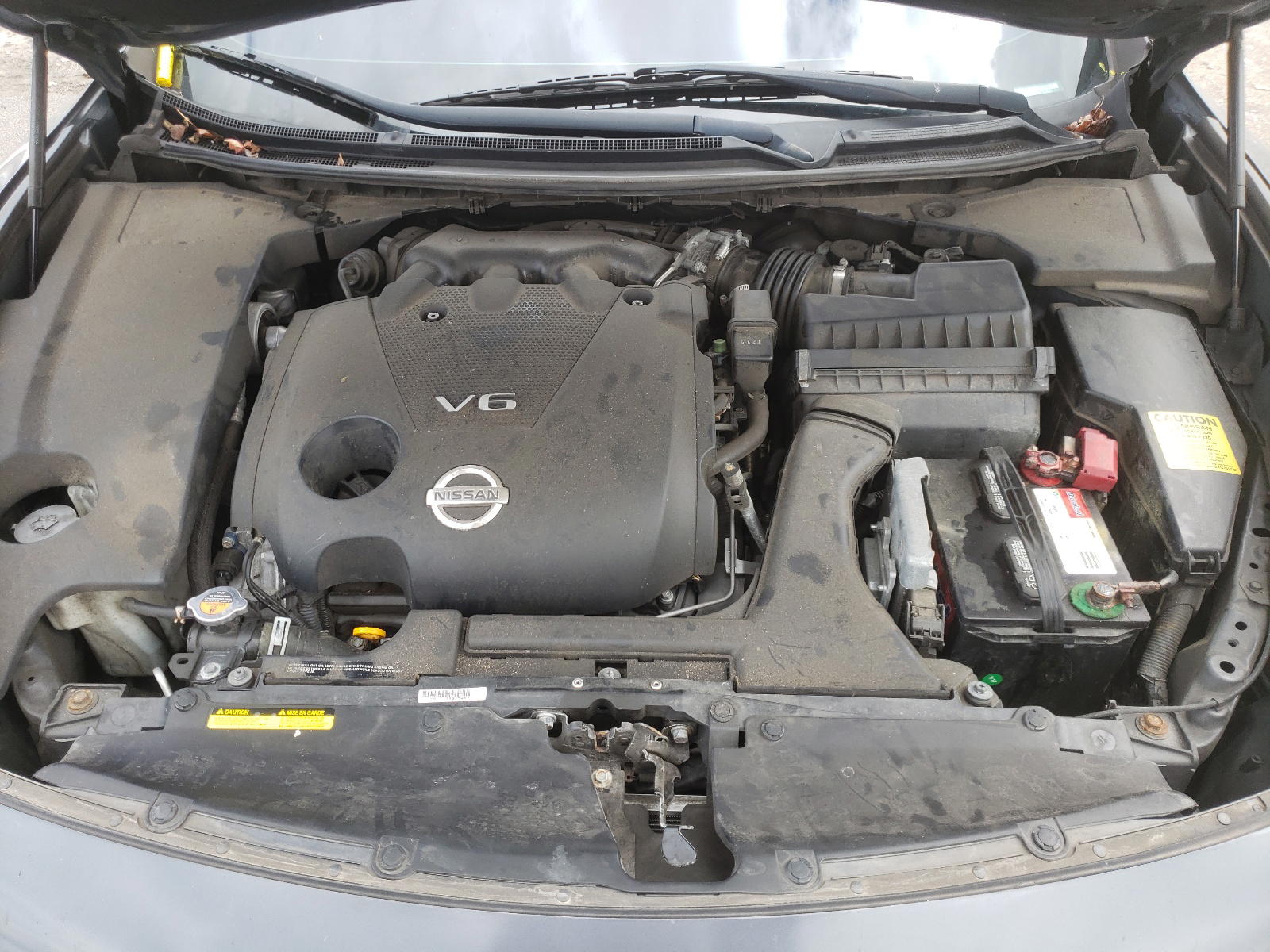 Photo 7 from auction – 2011 NISSAN MAXIMA S with VIN 1N4AA5AP8BC849021