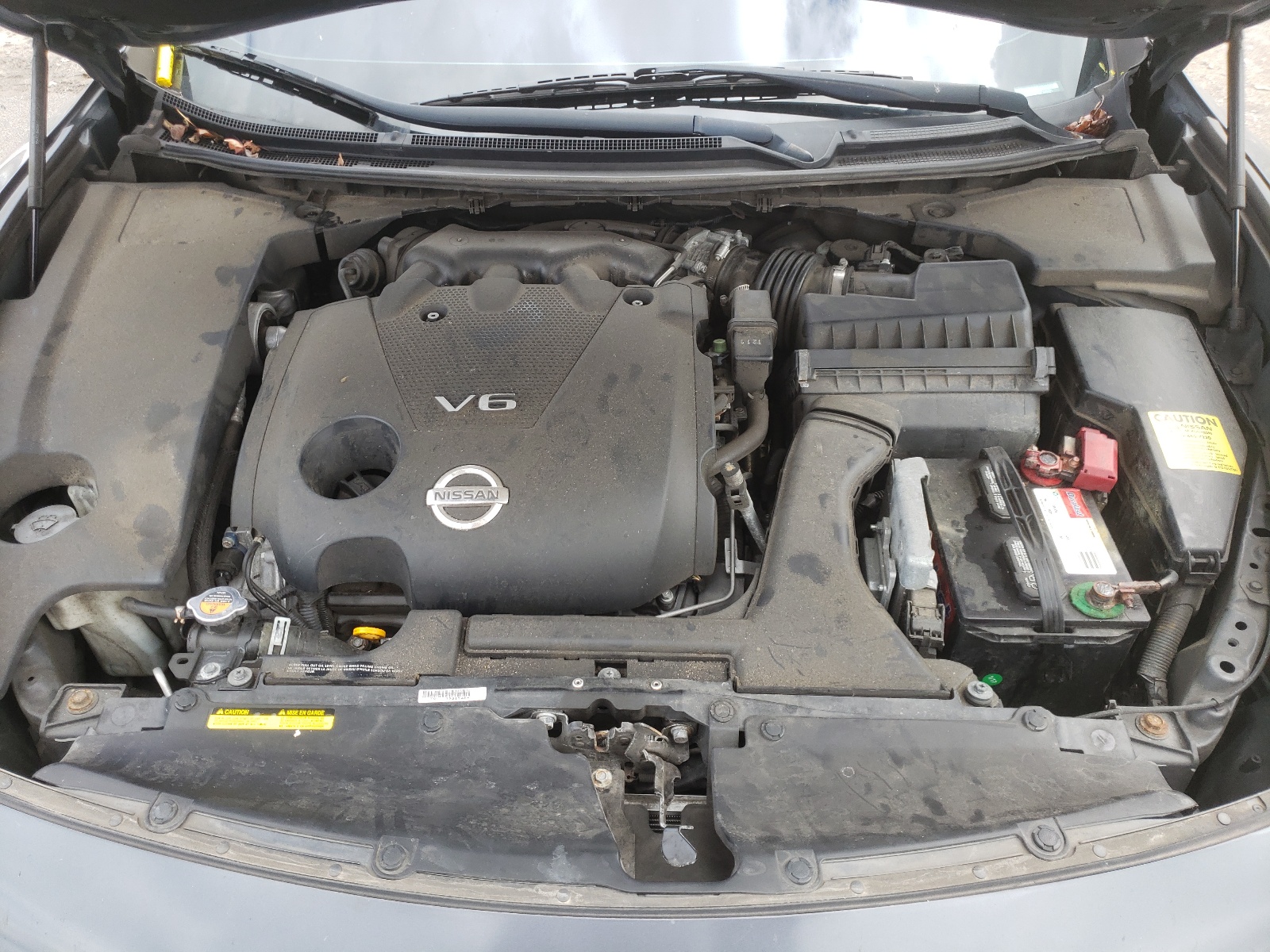 Фото 7 с аукциона – 2011 NISSAN MAXIMA S с VIN 1N4AA5AP8BC849021