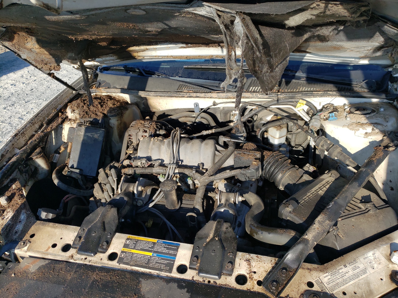 Photo 7 from auction – 2005 BUICK LACROSSE C with VIN 2G4WD532351355129