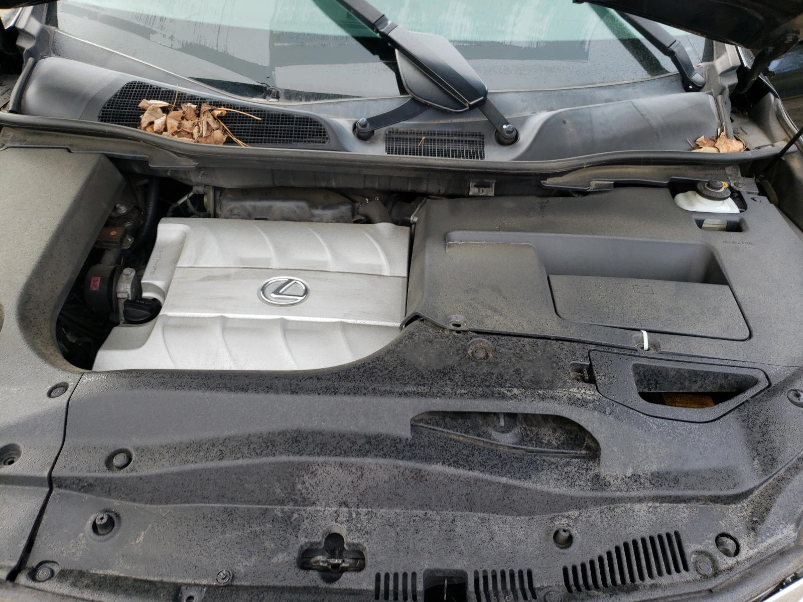 Photo 7 from auction – 2014 LEXUS RX 350 BAS with VIN JTJBK1BA3E2037308
