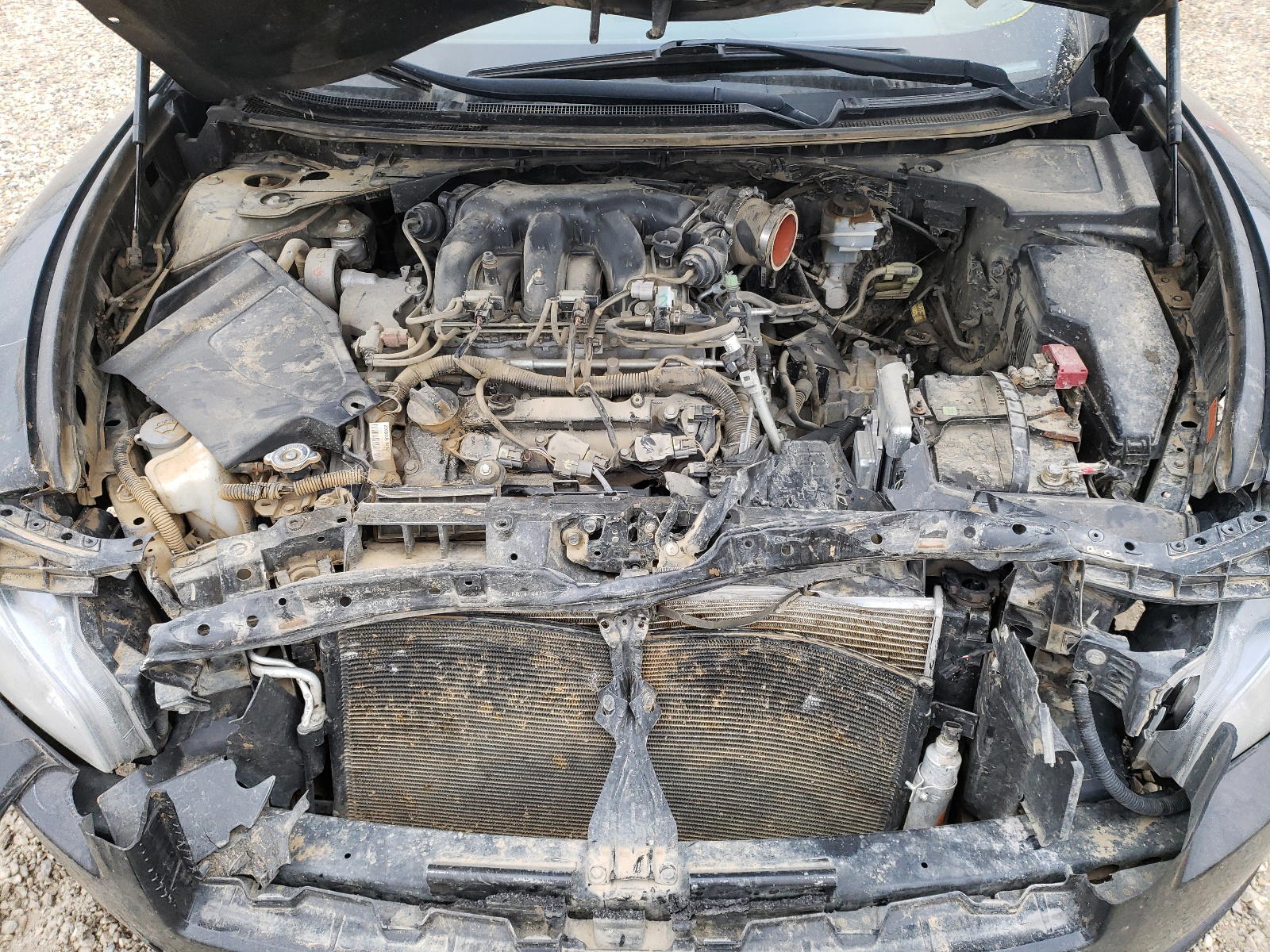 Photo 7 from auction – 2012 NISSAN MAXIMA S with VIN 1N4AA5AP4CC819953