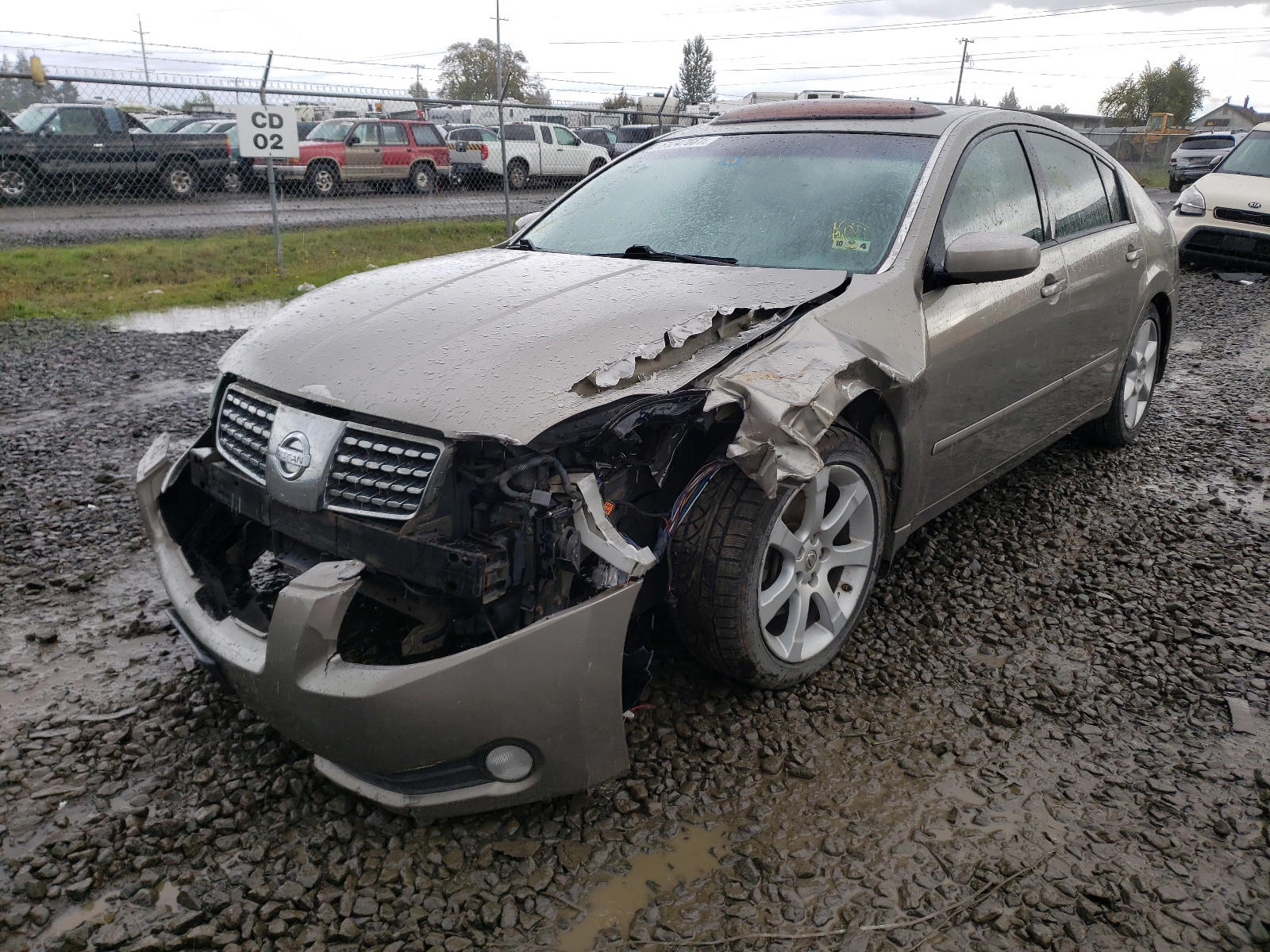 Photo 2 from auction – 2005 NISSAN MAXIMA SE with VIN 1N4BA41E95C843262