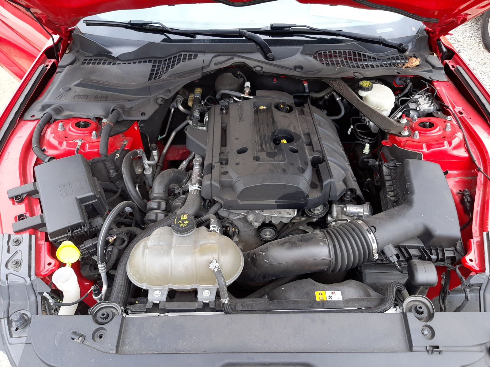 Photo 7 from auction – 2016 FORD MUSTANG with VIN 1FA6P8TH1G5252669