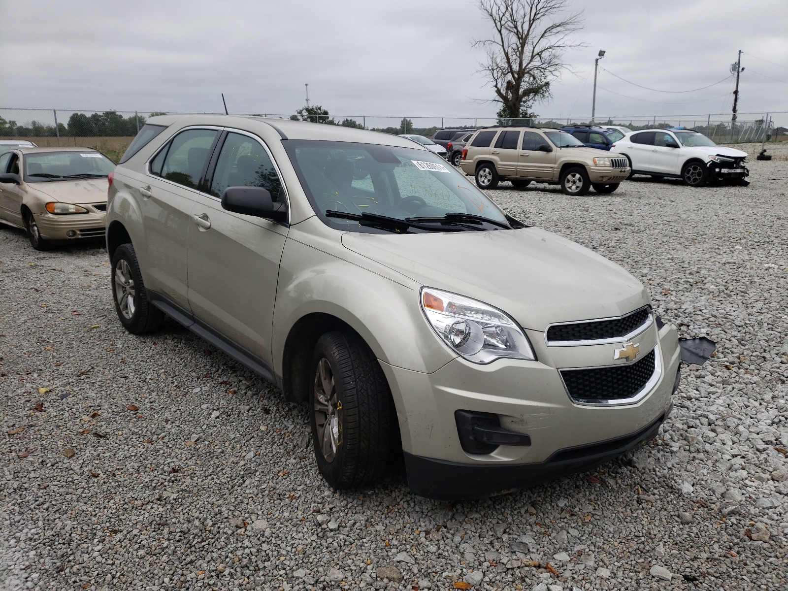 CHEVROLET EQUINOX LS 2013 with VIN 2GNALBEK6D1251835 - Photo from auction