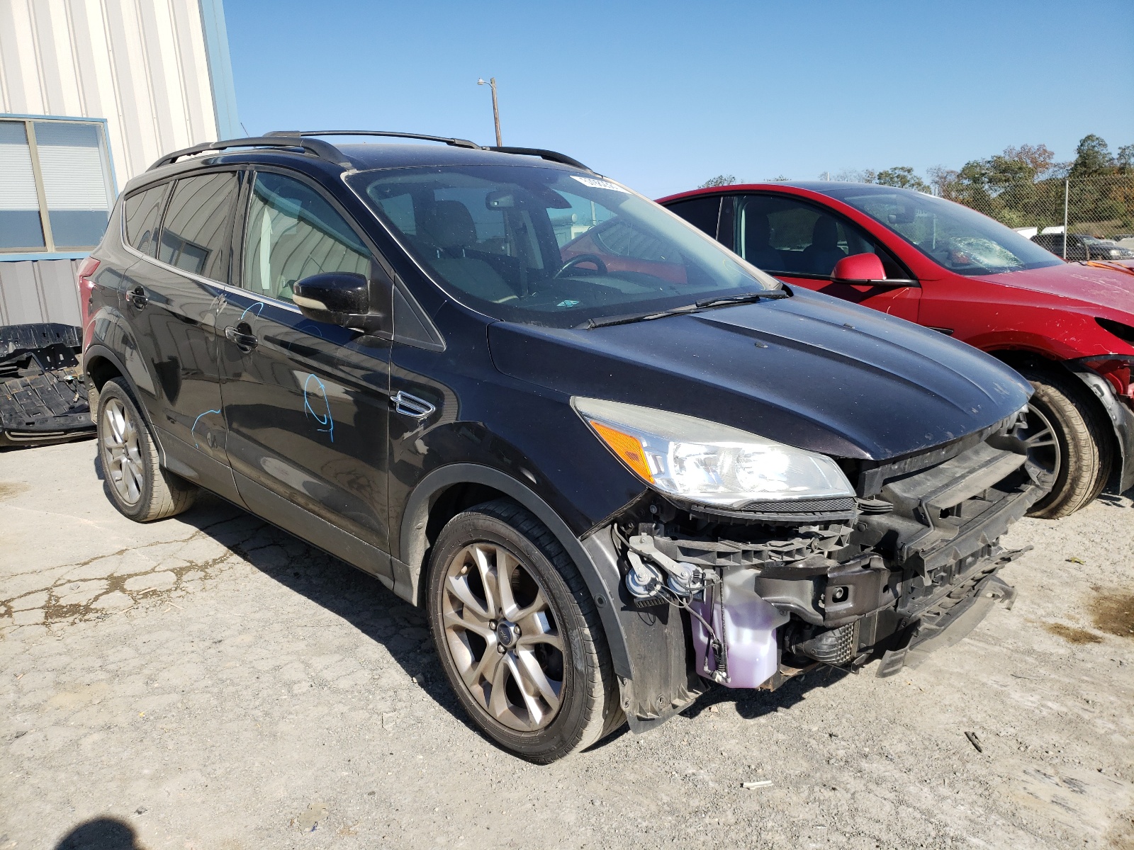 FORD ESCAPE SEL 2013 with VIN 1FMCU0H91DUD33578 - Photo from auction