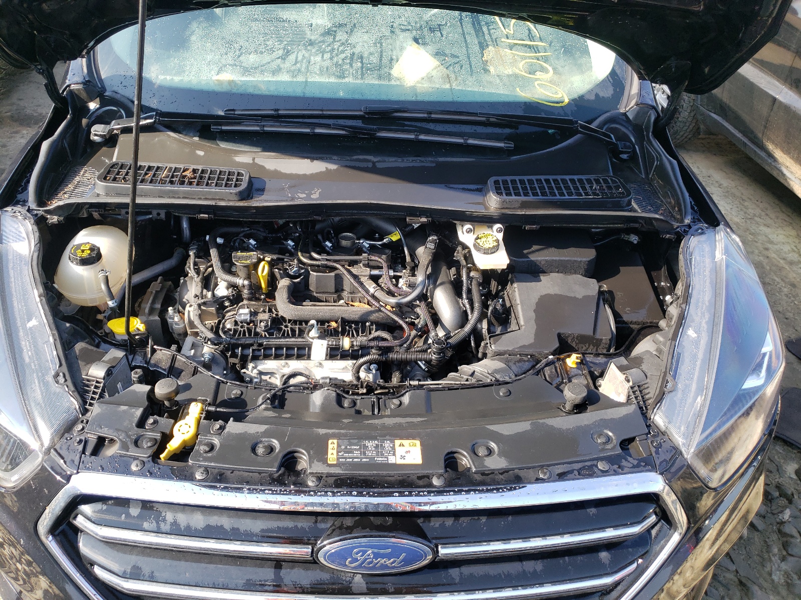 Photo 7 from auction – 2019 FORD ESCAPE SE with VIN 1FMCU9GD6KUB10346