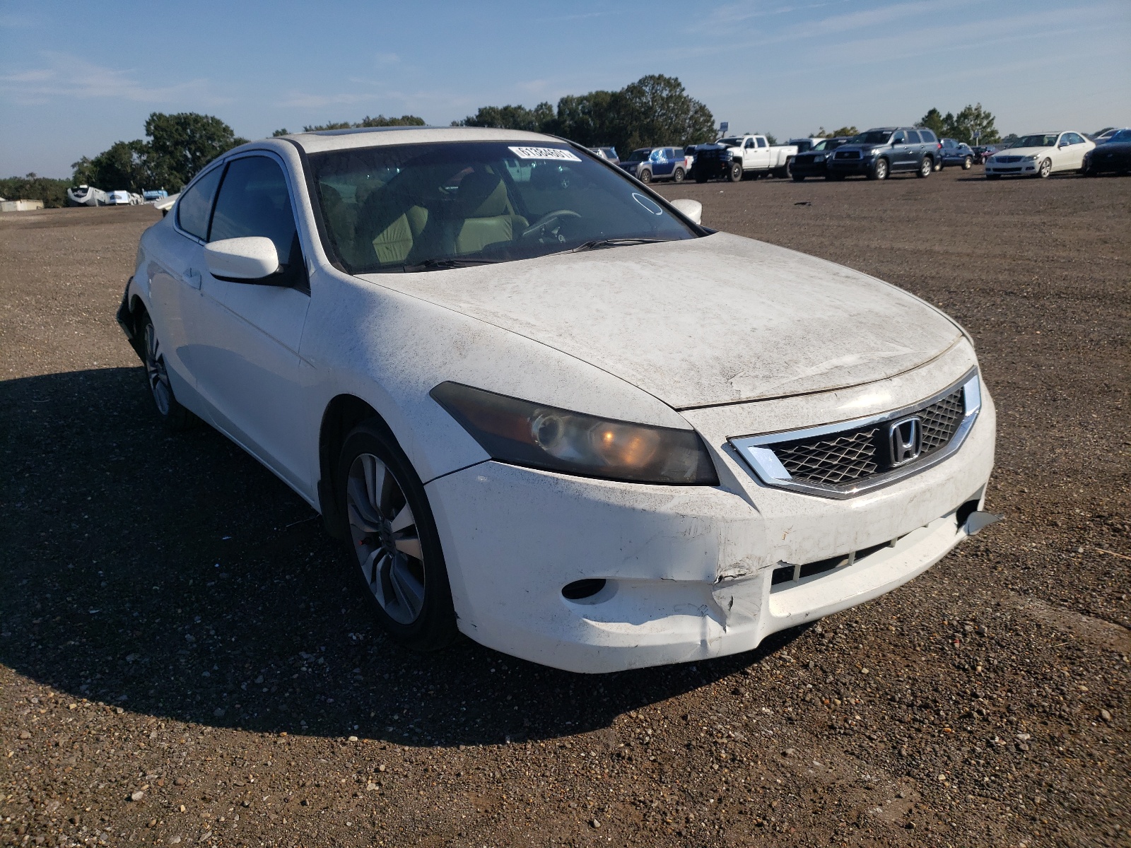 Photo 1 from auction – 2010 HONDA ACCORD EXL with VIN 1HGCS1B87AA006245
