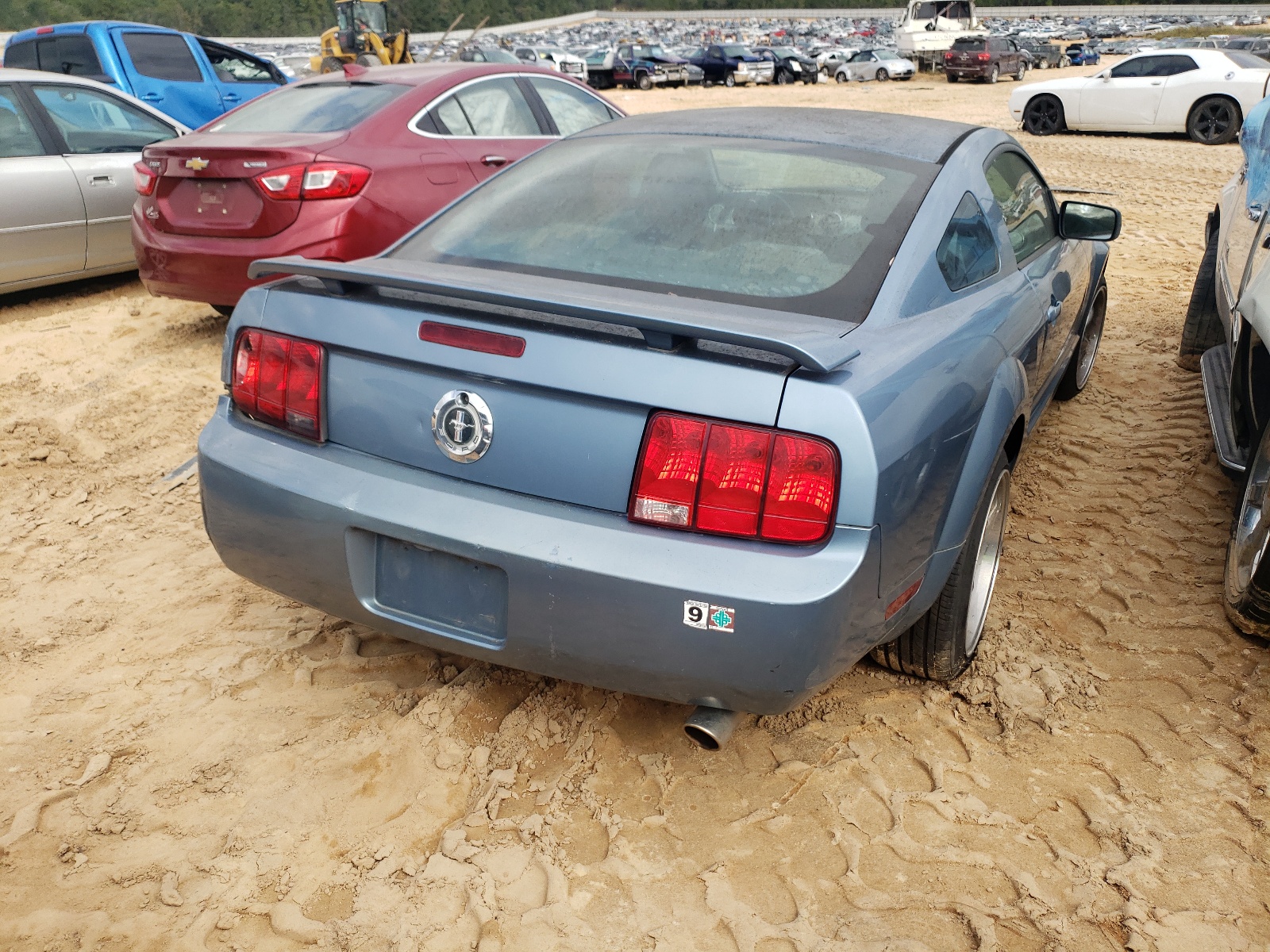 Photo 4 from auction – 2006 FORD MUSTANG with VIN 1ZVFT80N765161935