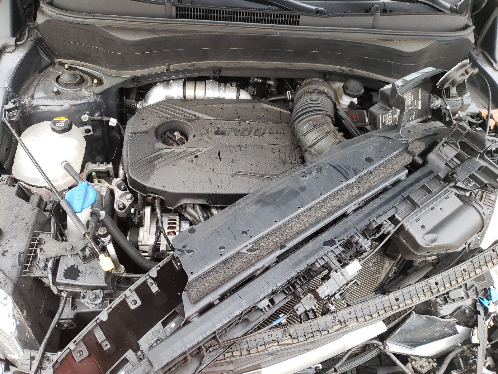 Photo 7 from auction – 2021 KIA SELTOS SX with VIN KNDETCA26M7181312