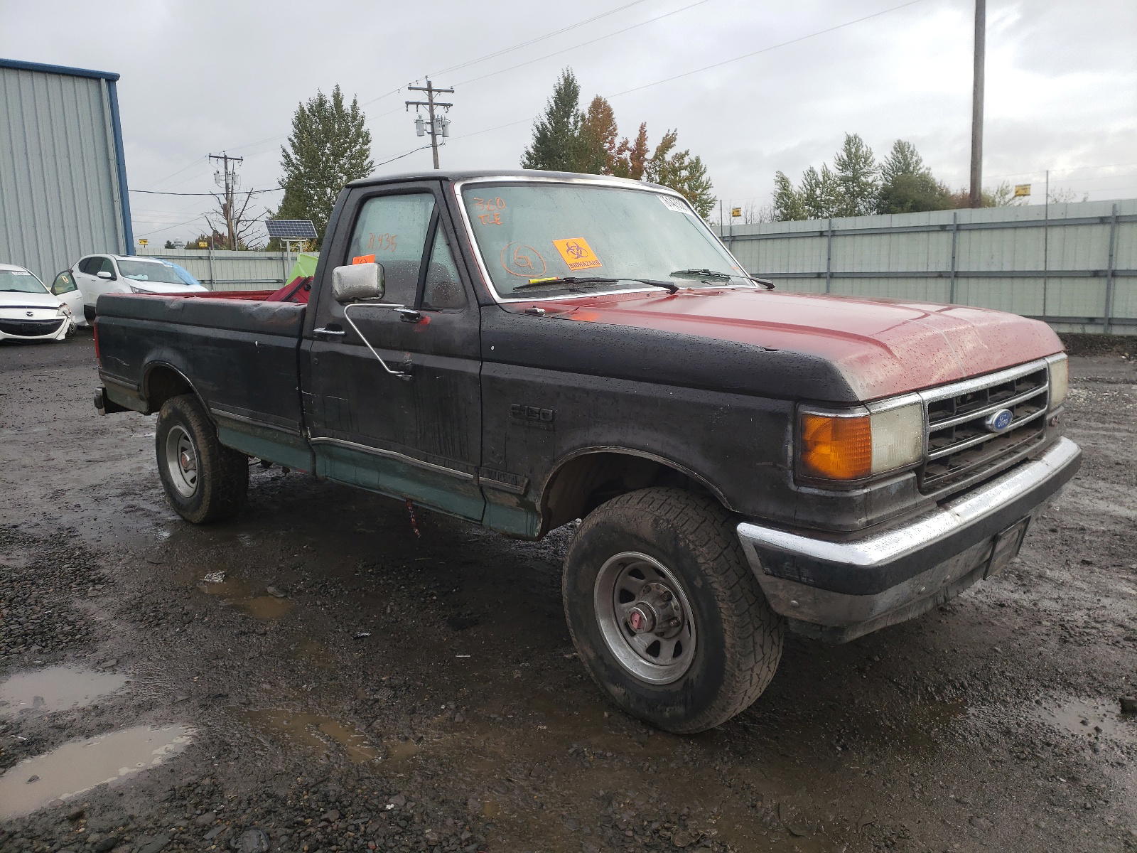 FORD F150 1990 with VIN 1FTEF14N8LPB40183 - Photo from auction