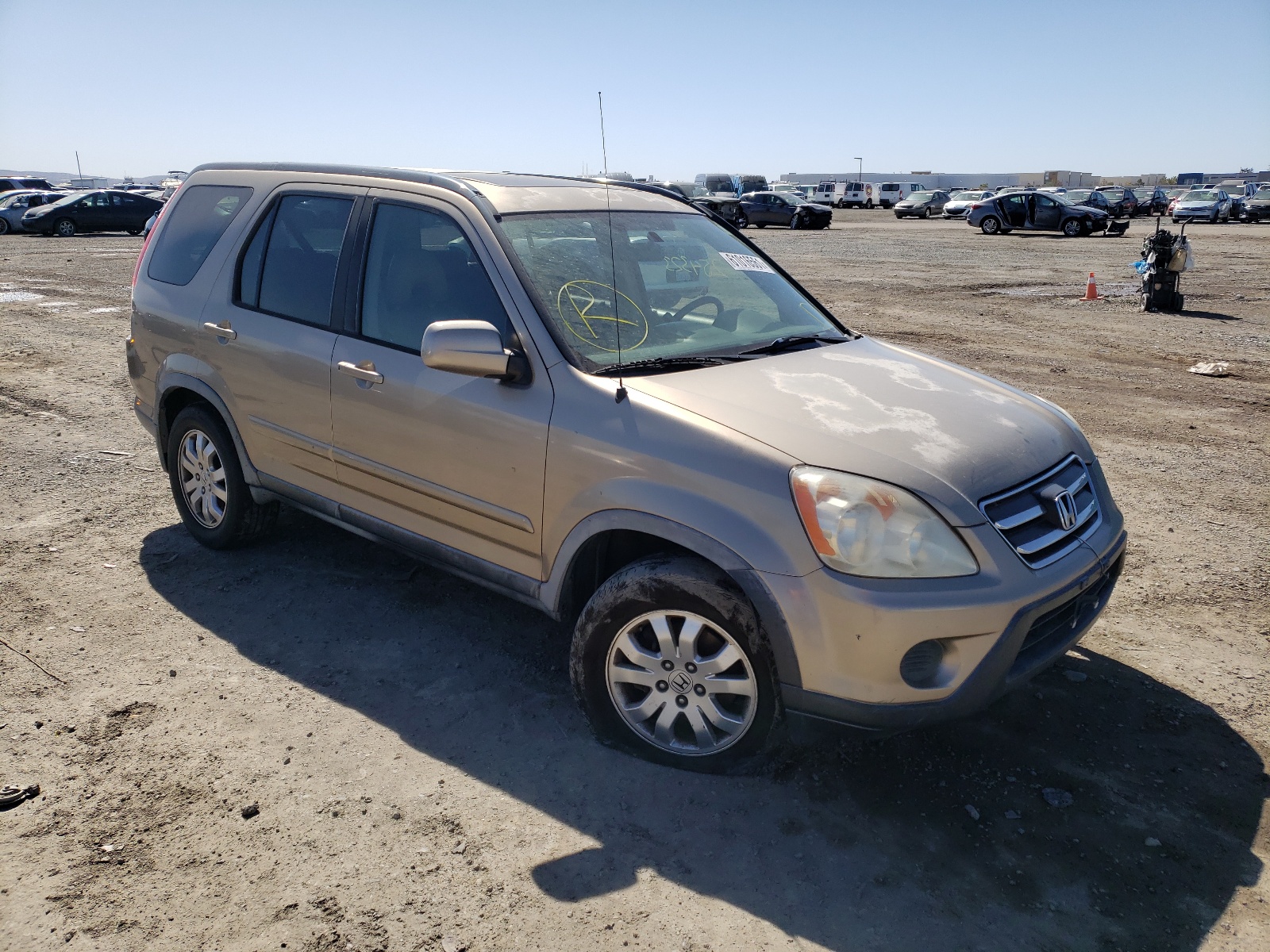 HONDA CR-V SE 2006 with VIN JHLRD78986C062439 - Photo from auction