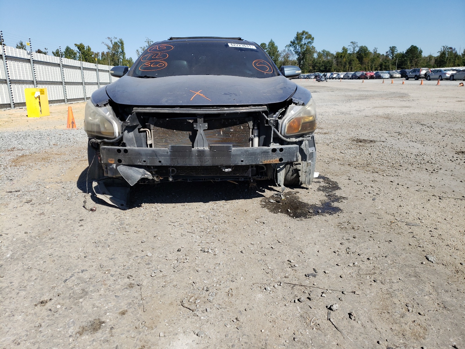 Photo 9 from auction – 2010 NISSAN MAXIMA S with VIN 1N4AA5AP6AC831096