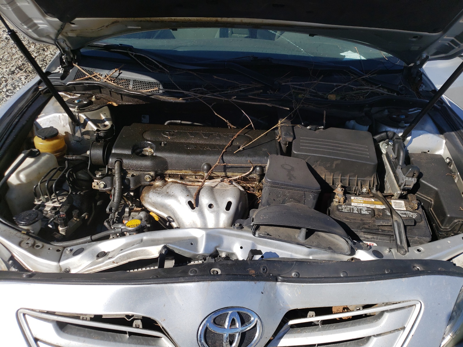 Photo 7 from auction – 2008 TOYOTA CAMRY CE with VIN 4T1BE46K58U262820