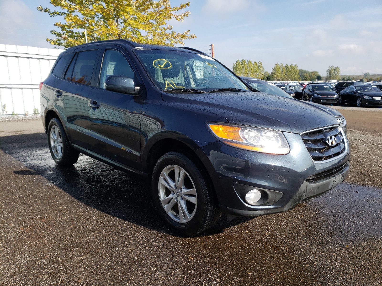 HYUNDAI SANTA FE G 2010 with VIN 5NMSGDAG6AH339368 - Photo from auction