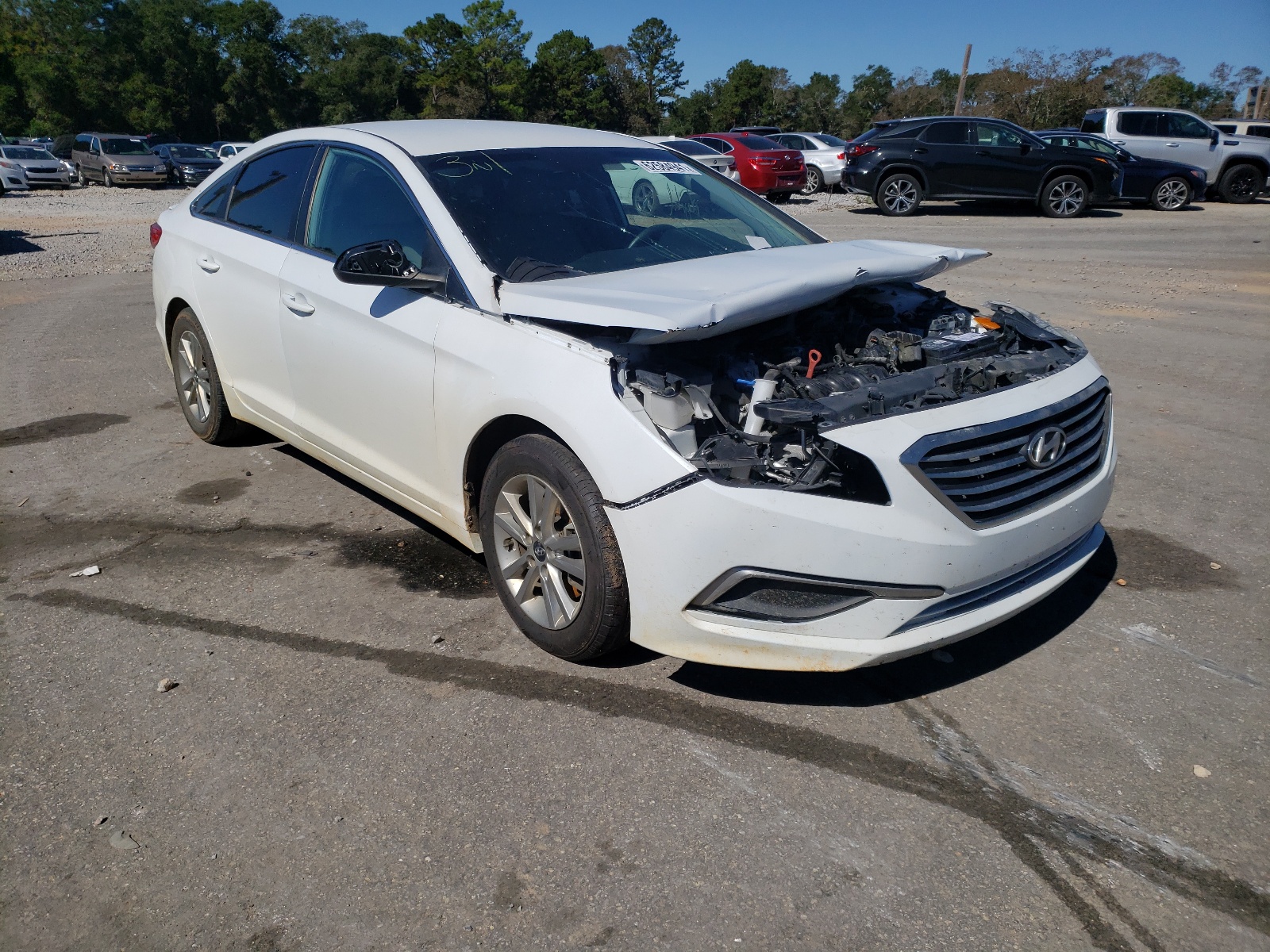 HYUNDAI SONATA SE 2017 with VIN 5NPE24AFXHH466656 - Photo from auction