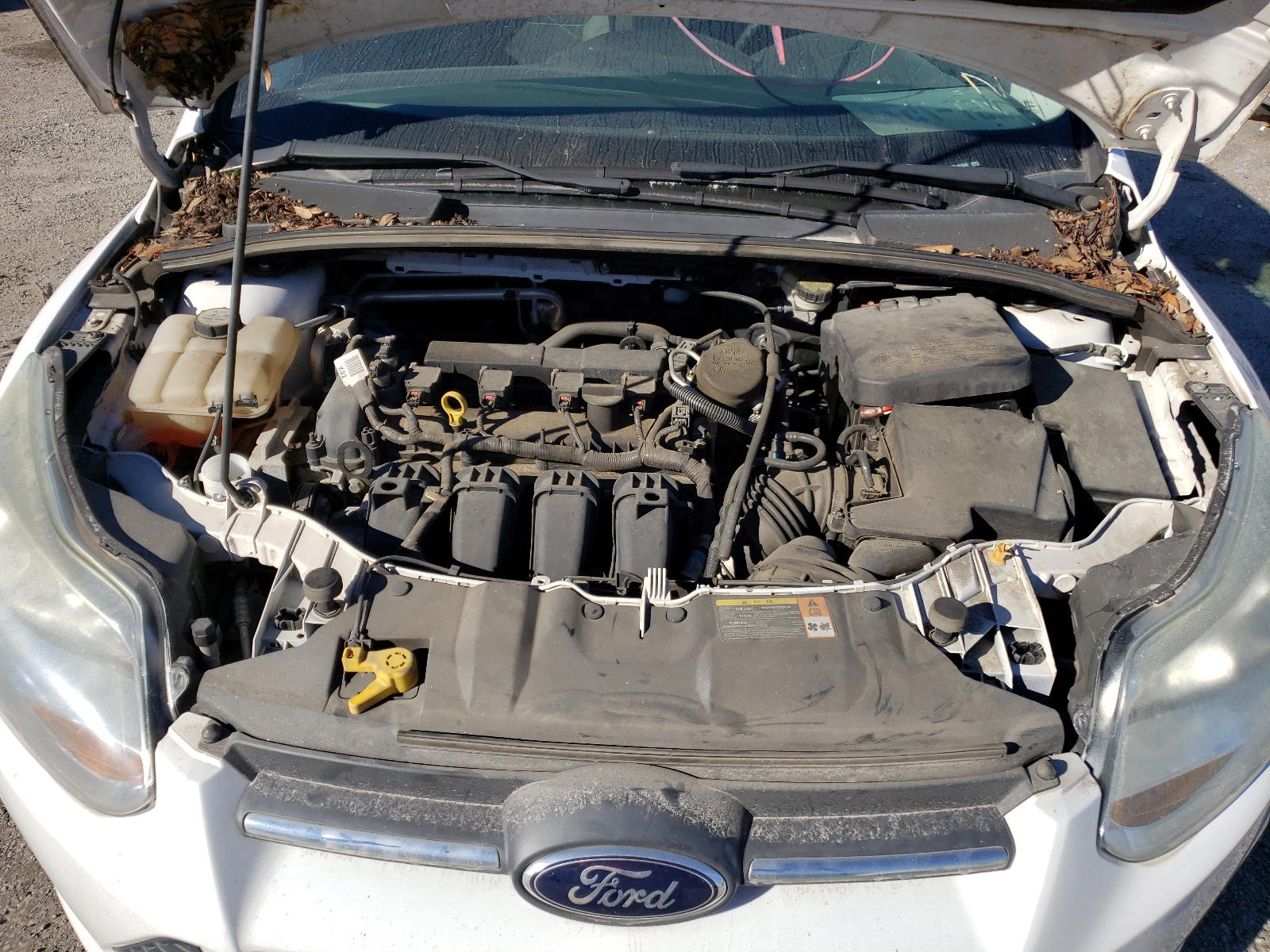 Photo 7 from auction – 2013 FORD FOCUS SE with VIN 1FADP3F21DL269500