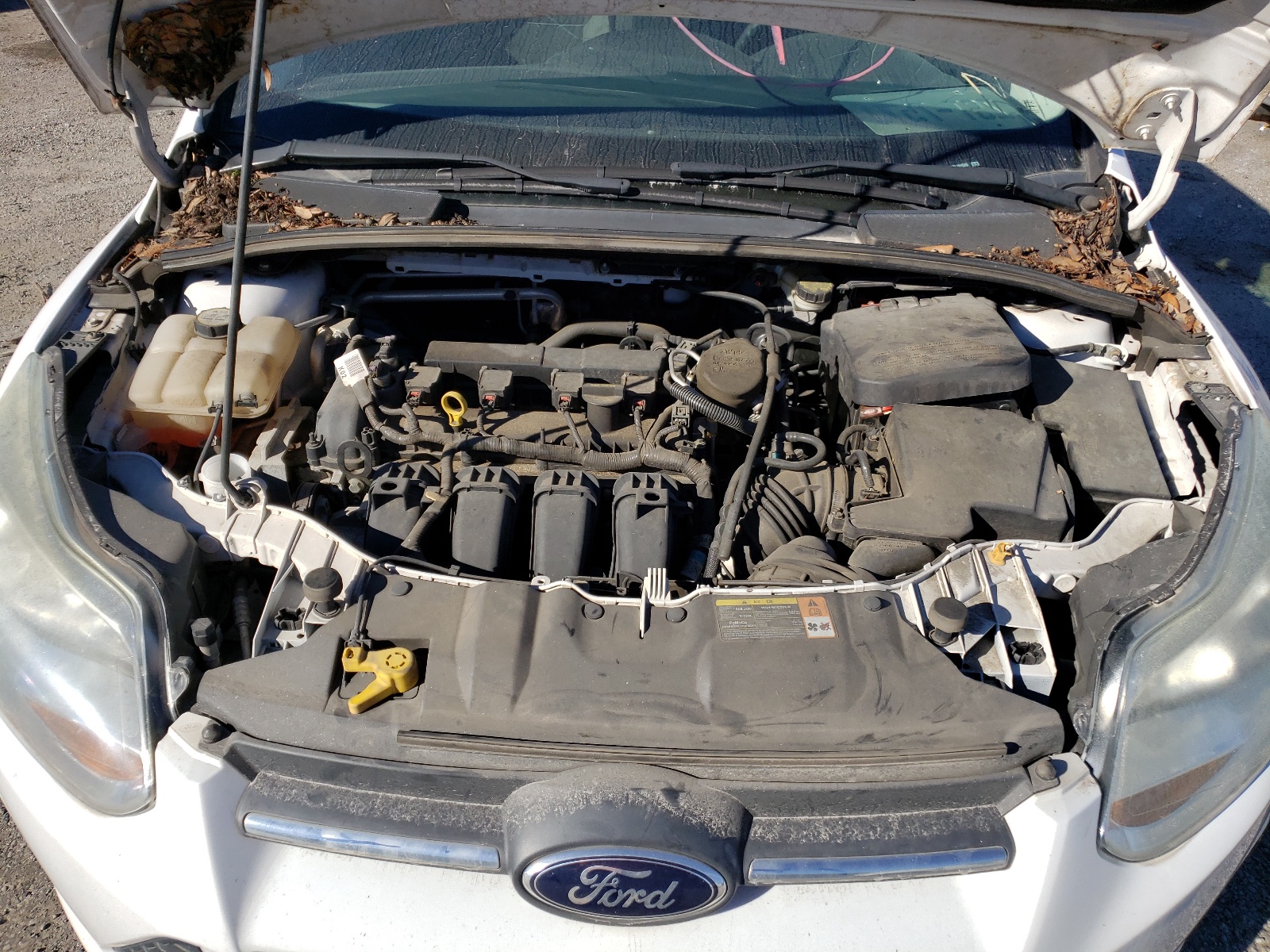 Zdjęcie 7 z aukcji – 2013 FORD FOCUS SE z VIN 1FADP3F21DL269500