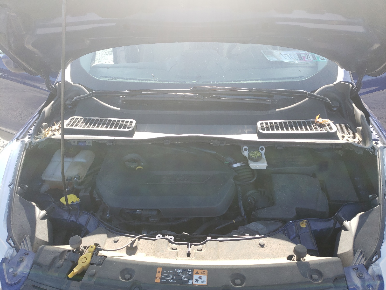Photo 7 from auction – 2014 FORD ESCAPE SE with VIN 1FMCU9GX1EUE05899