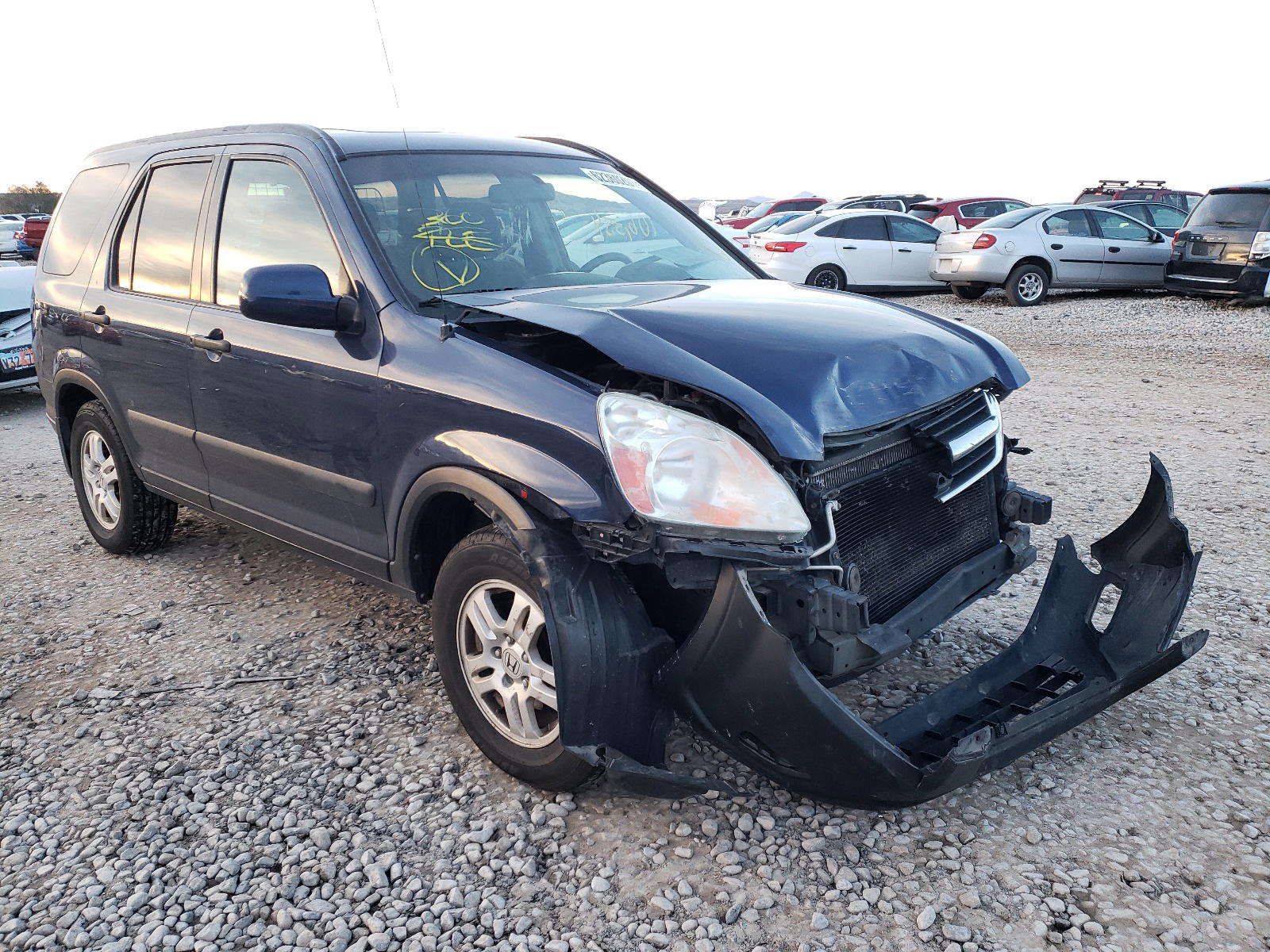 HONDA CR-V 2004 with VIN SHSRD78824U202059 - Photo from auction
