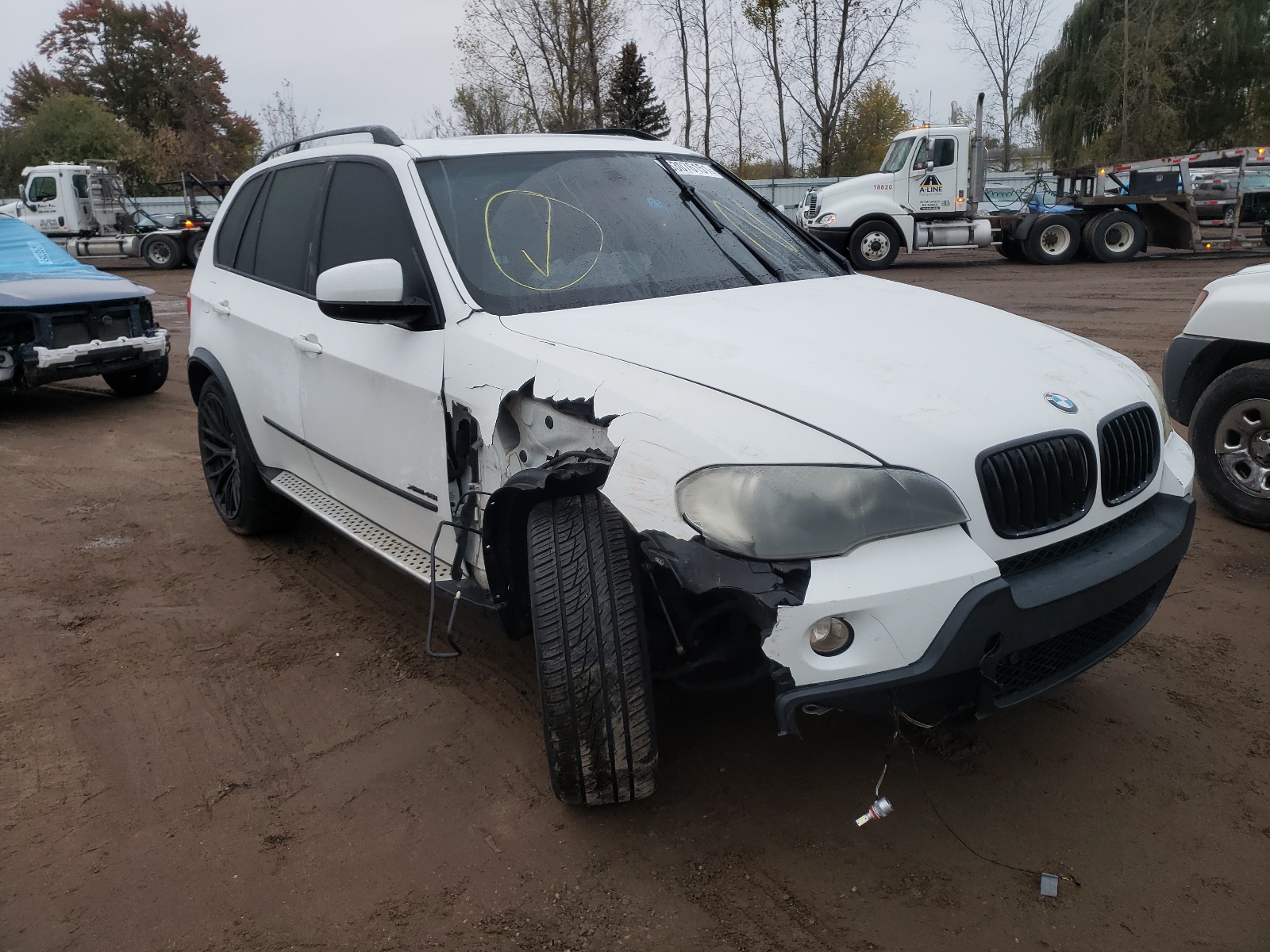 BMW X5 XDRIVE4 2009 with VIN 5UXFE83599L169087 - Photo from auction