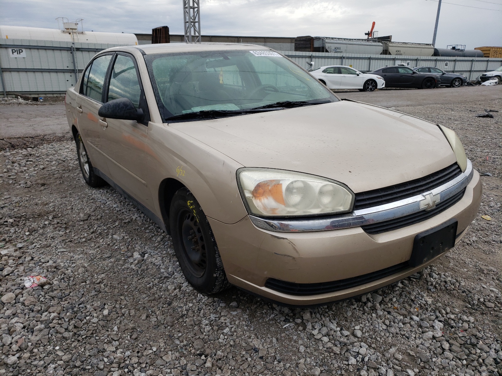 CHEVROLET MALIBU LS 2004 with VIN 1G1ZT52874F113017 - Photo from auction