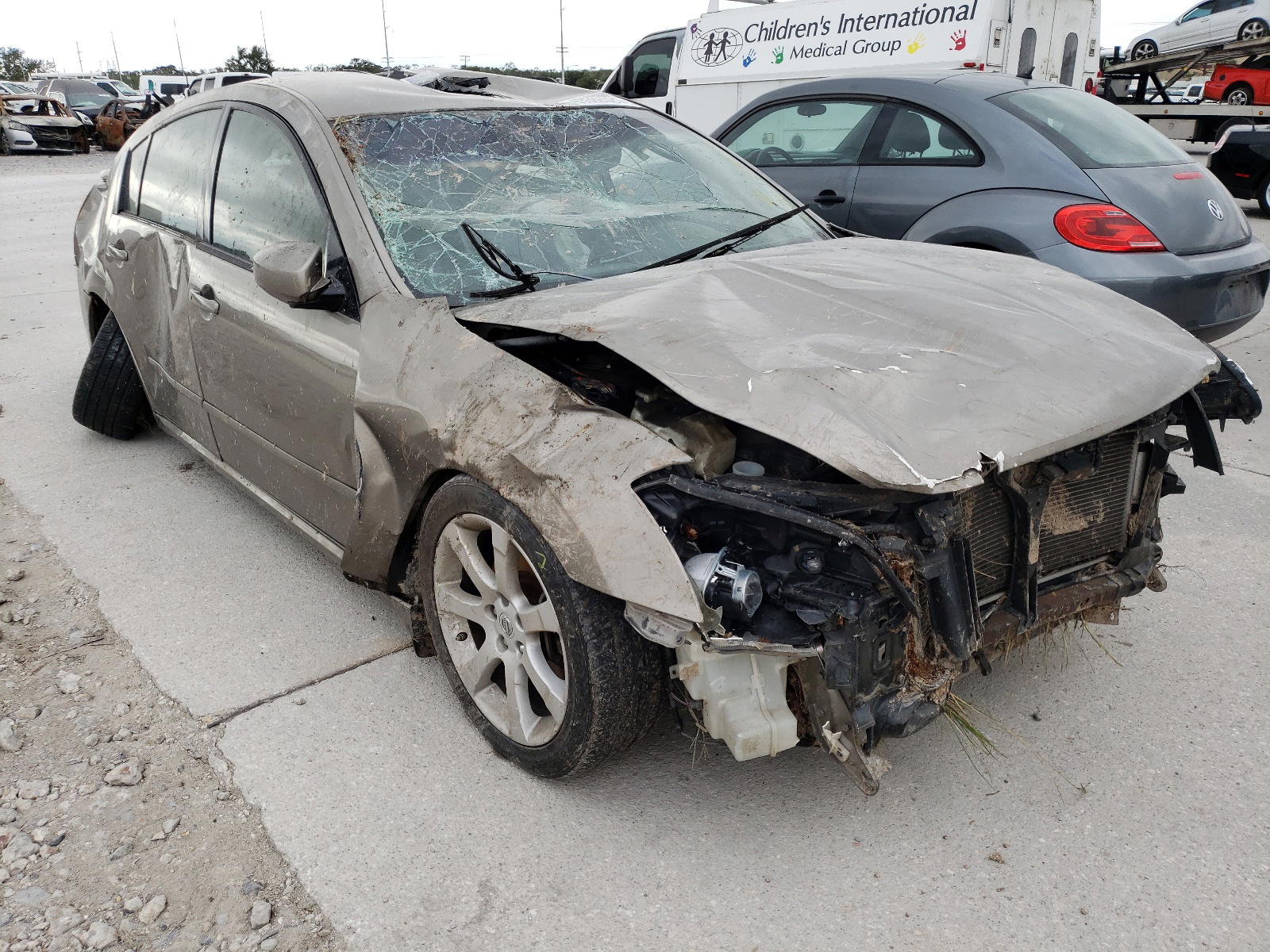 NISSAN MAXIMA SE 2008 with VIN 1N4BA41EX8C828208 - Photo from auction