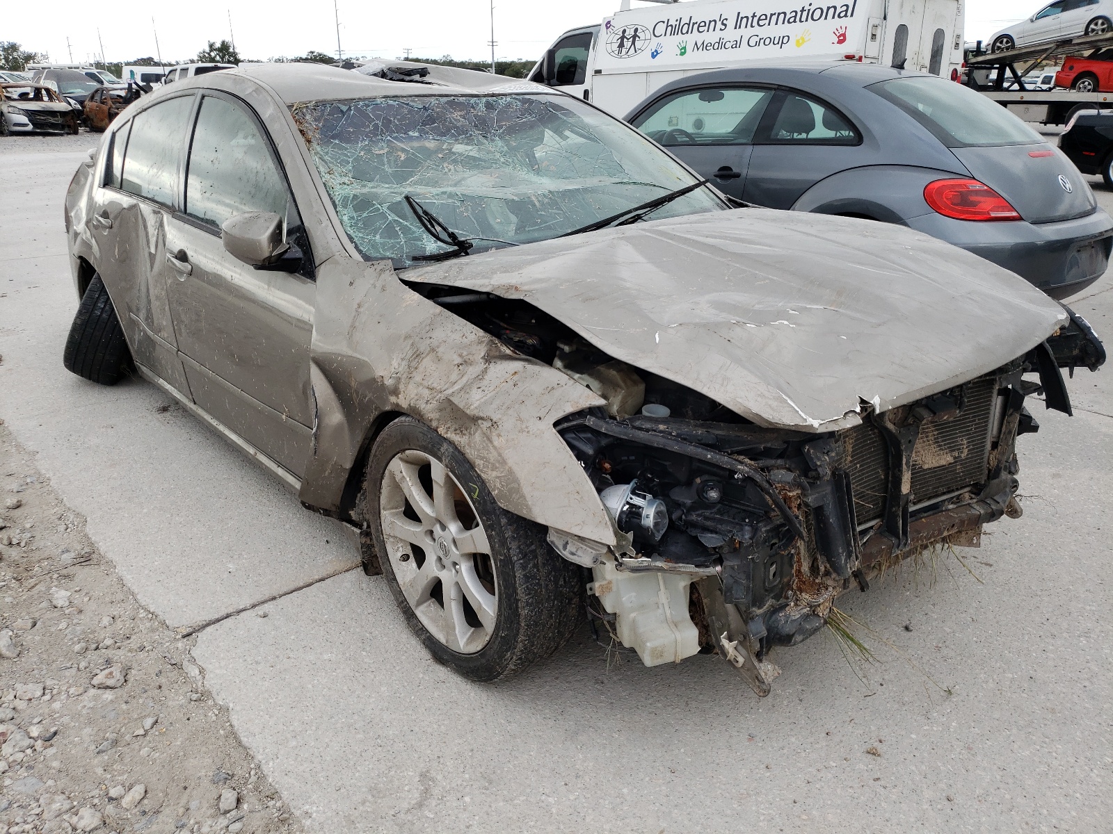 NISSAN MAXIMA SE 2008 z numerem VIN 1N4BA41EX8C828208 - Zdjęcie z aukcji