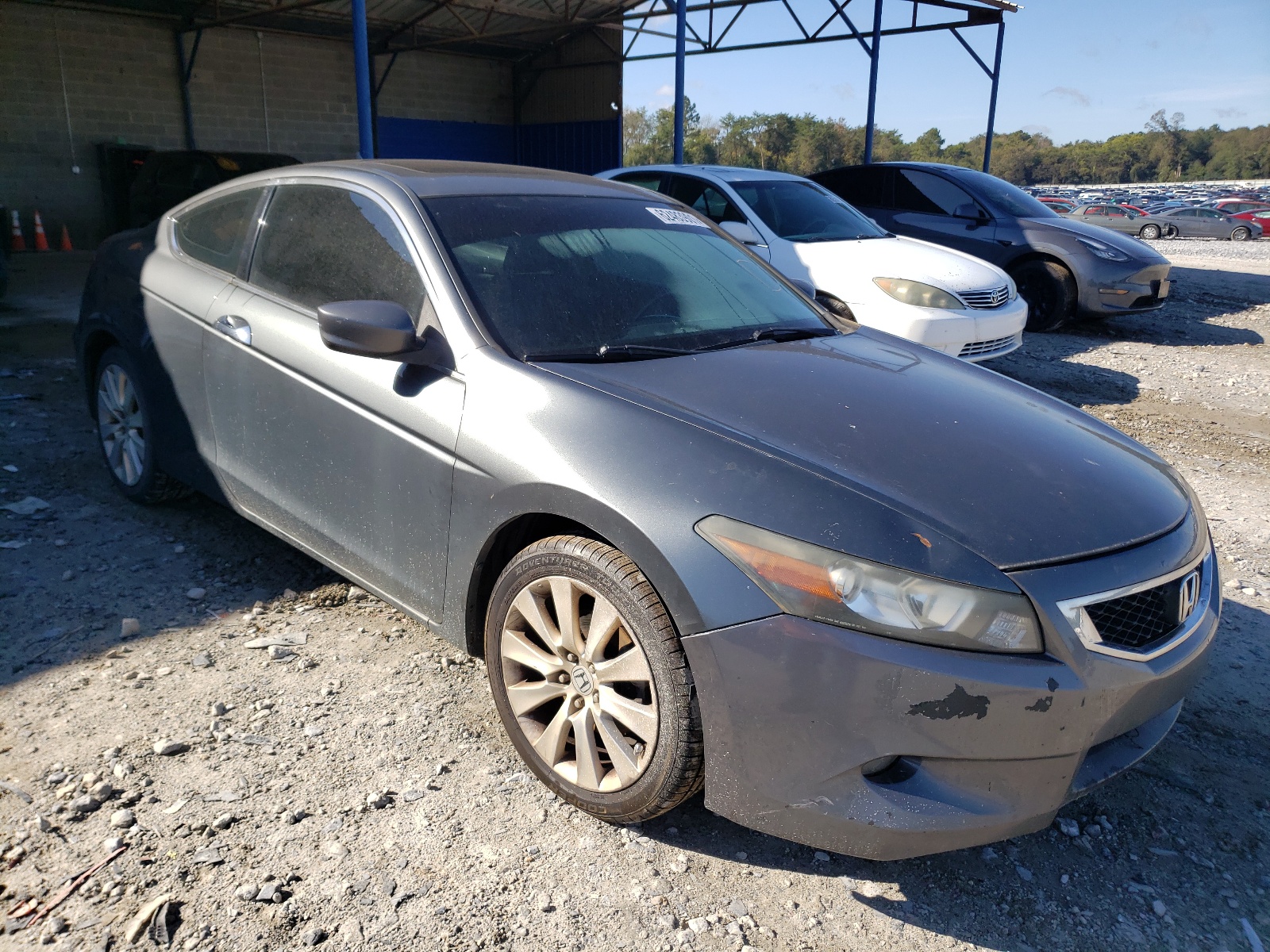 HONDA ACCORD EXL 2009 with VIN 1HGCS22809A004418 - Photo from auction
