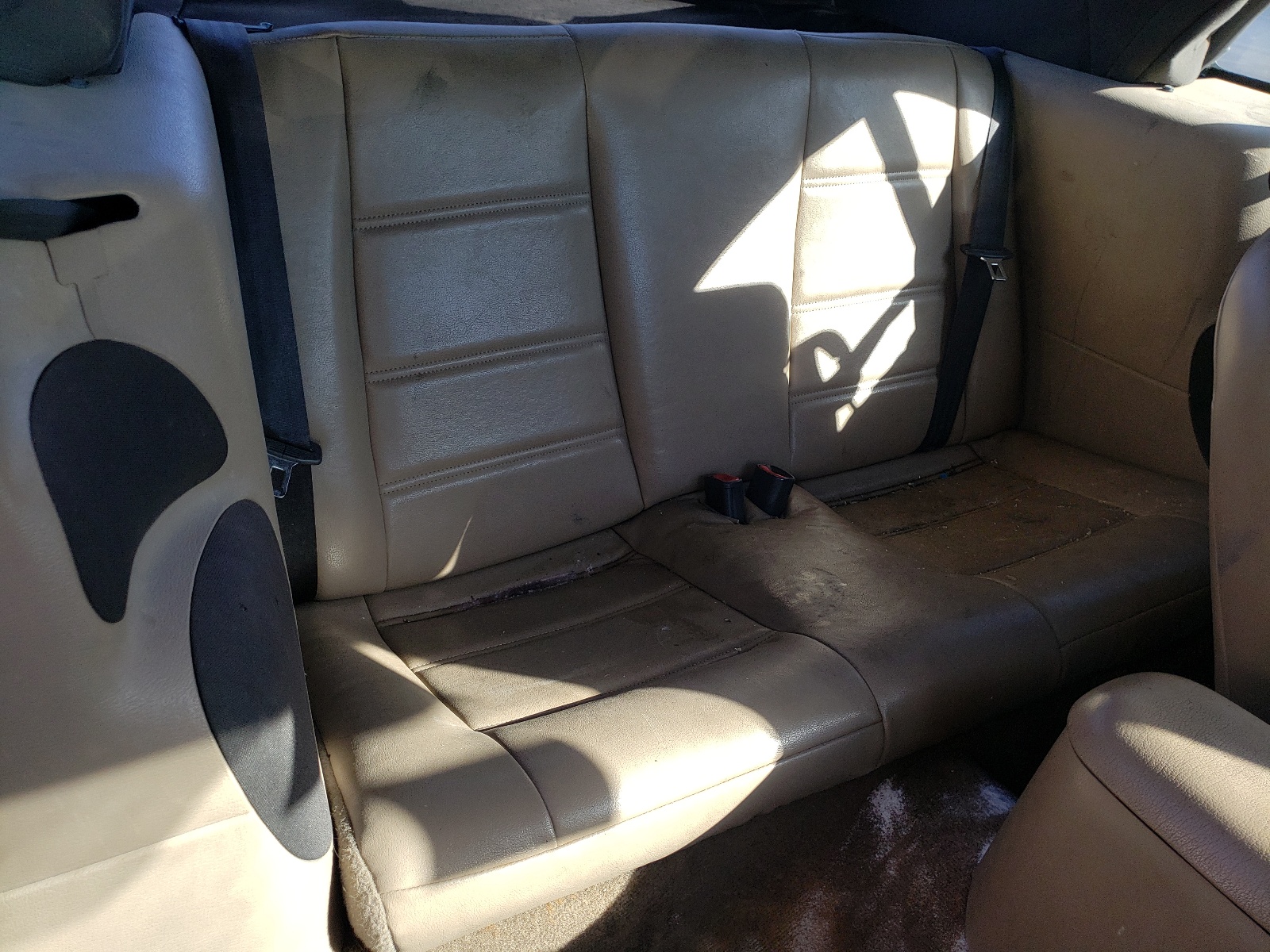Photo 6 from auction – 2001 FORD MUSTANG with VIN 1FAFP44421F144504