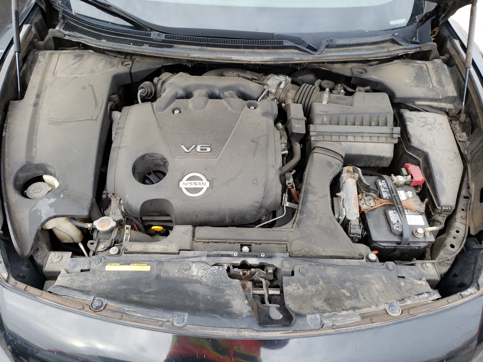 Photo 7 from auction – 2009 NISSAN MAXIMA S with VIN 1N4AA51E69C861550