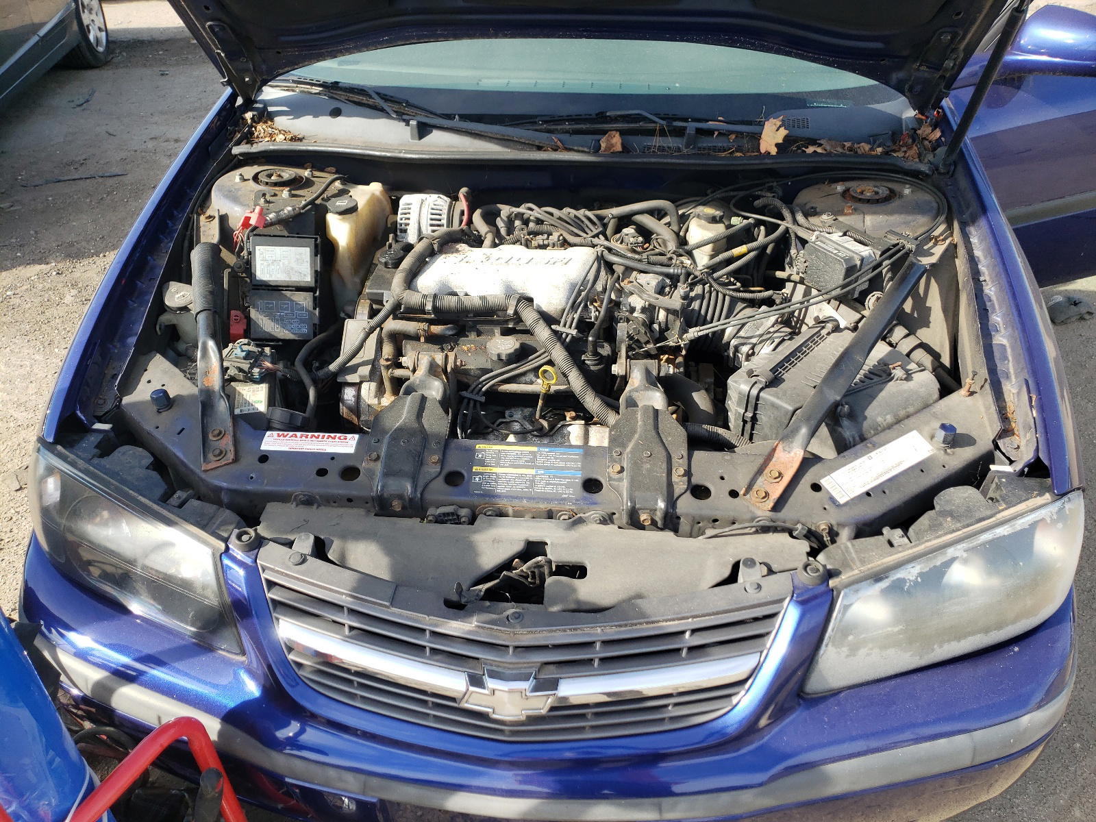Photo 7 from auction – 2005 CHEVROLET IMPALA with VIN 2G1WF52E259172311