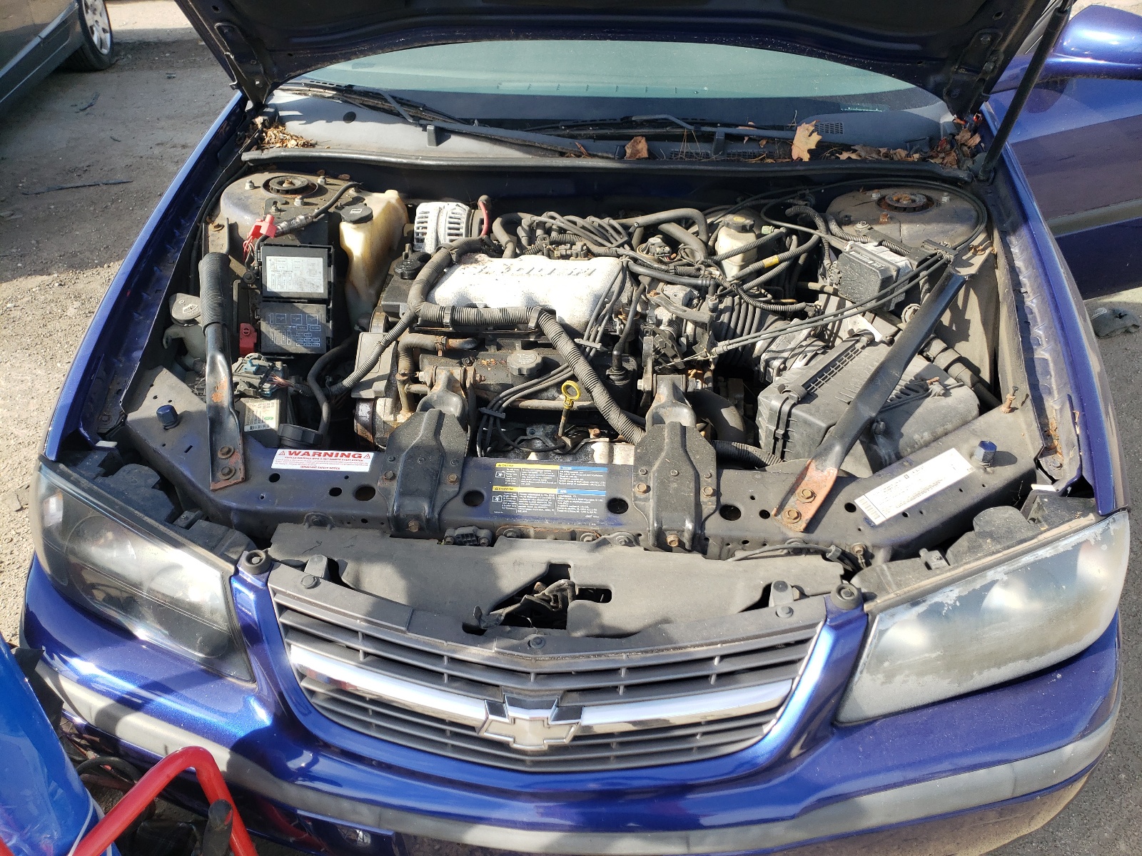 Zdjęcie 7 z aukcji – 2005 CHEVROLET IMPALA z VIN 2G1WF52E259172311