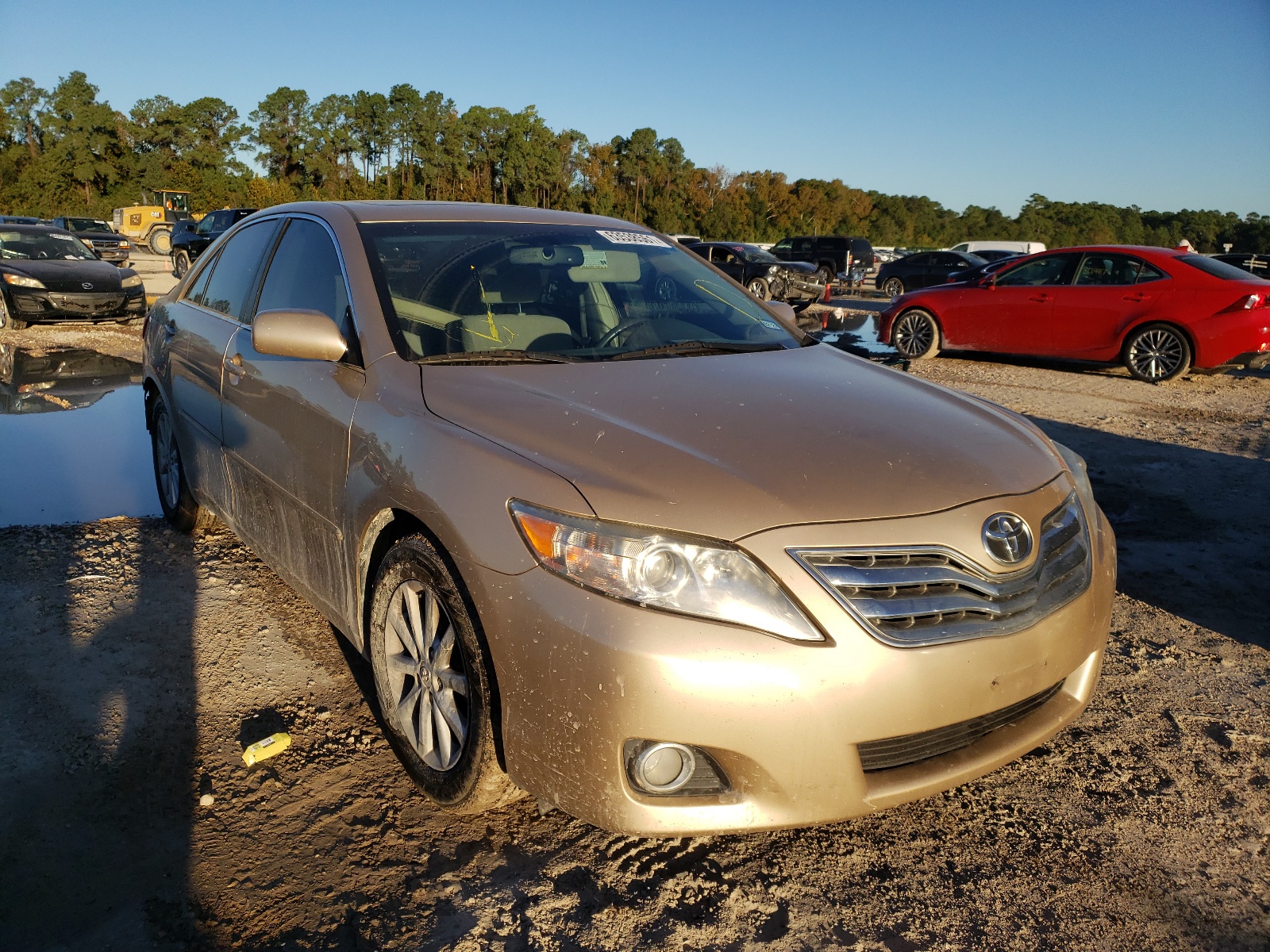 TOYOTA CAMRY BASE 2010 with VIN 4T1BF3EK0AU114041 - Photo from auction