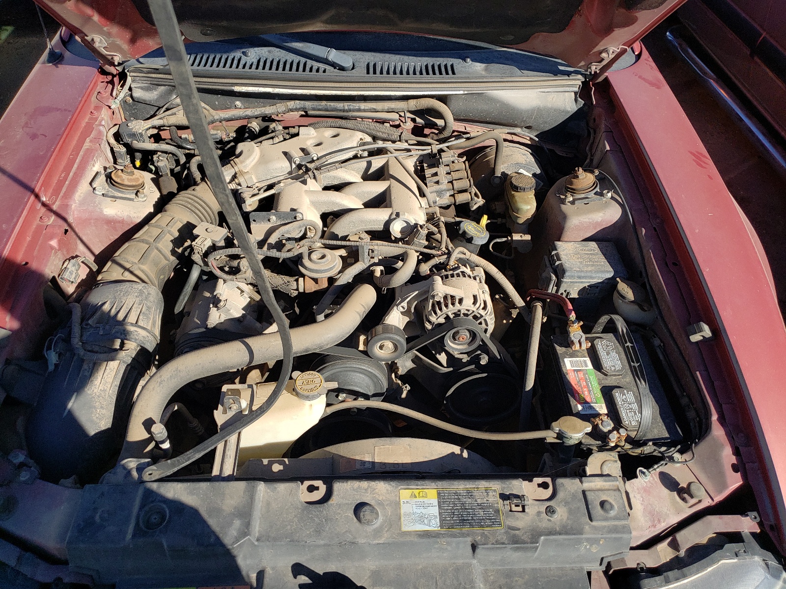 Photo 7 from auction – 2001 FORD MUSTANG with VIN 1FAFP44421F144504