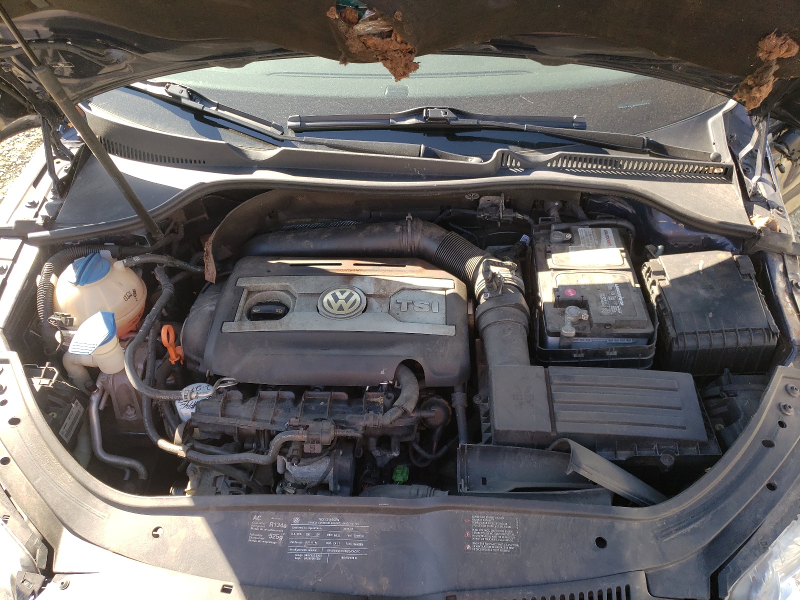 Photo 7 from auction – 2009 VOLKSWAGEN EOS TURBO with VIN WVWBA71F89V022877