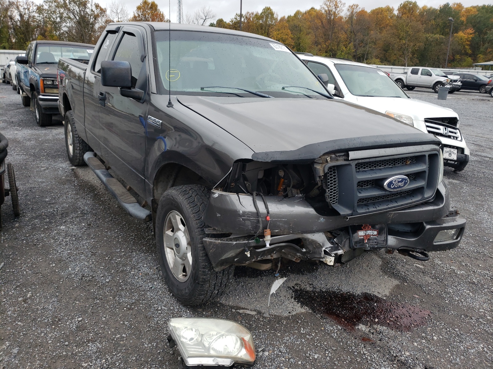 FORD F150 2004 with VIN 1FTRX14W54NA77740 - Photo from auction