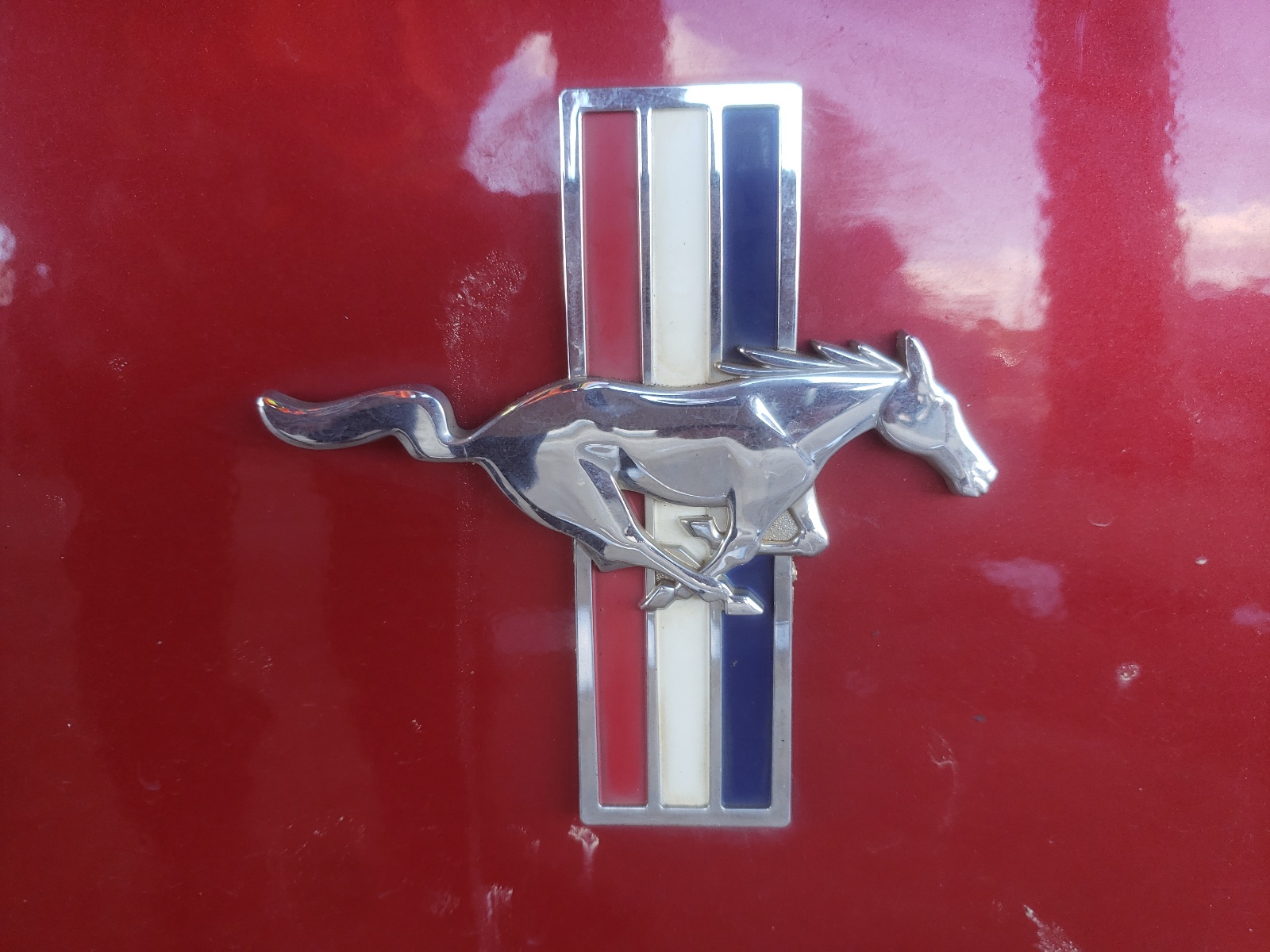 Photo 9 from auction – 2011 FORD MUSTANG with VIN 1ZVBP8EM7B5111324
