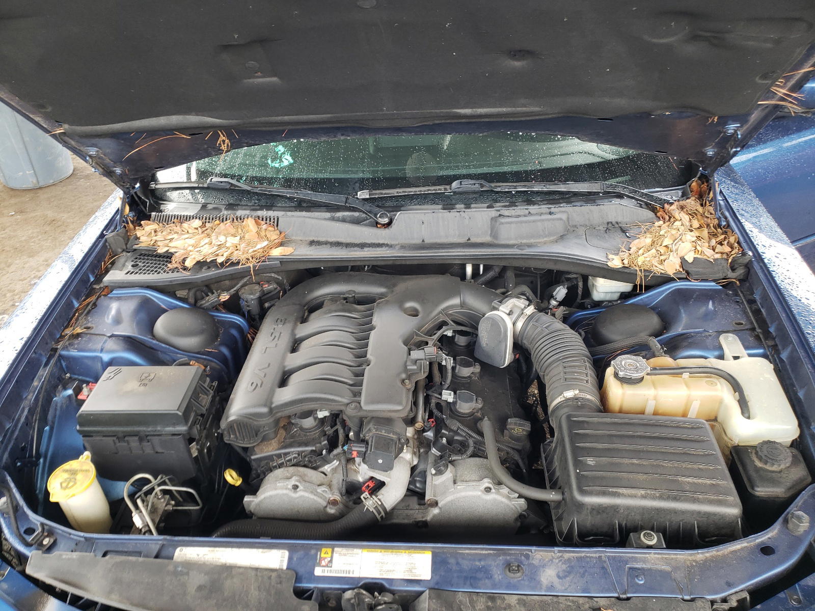 Photo 7 from auction – 2010 DODGE CHARGER SX with VIN 2B3CA3CV7AH145635