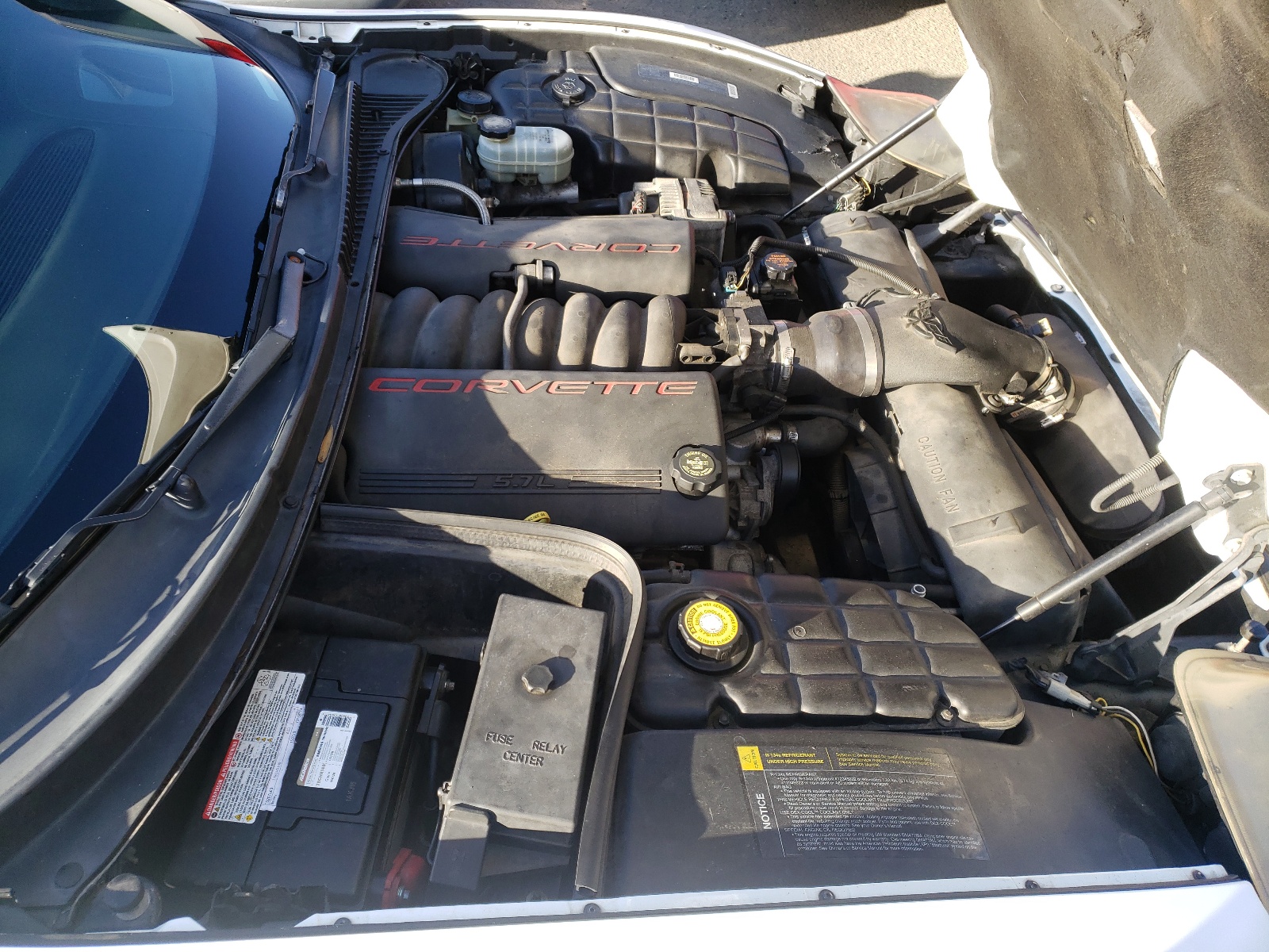 Photo 7 from auction – 1999 CHEVROLET CORVETTE with VIN 1G1YY32G9X5113023