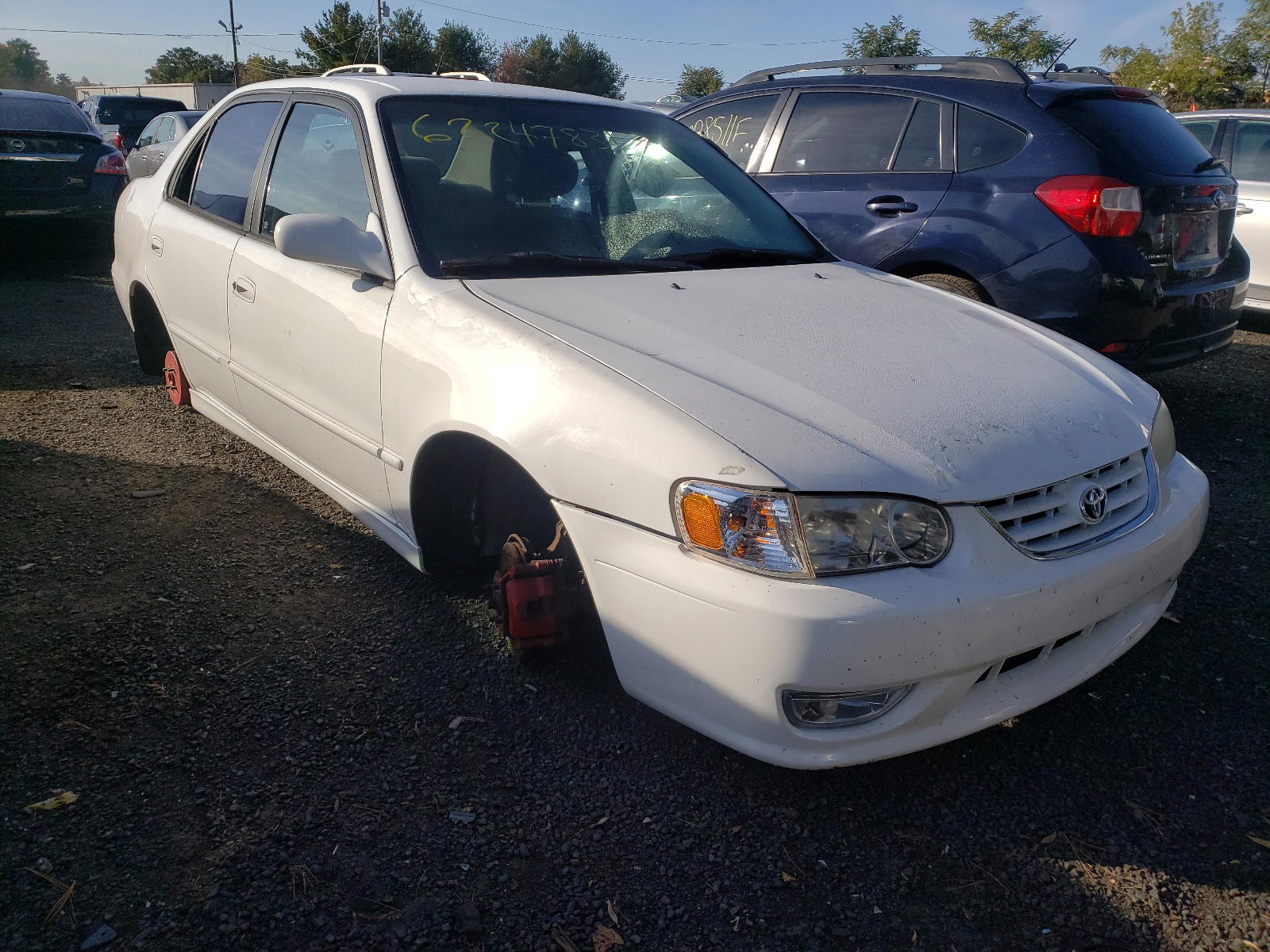 TOYOTA COROLLA CE 2002 with VIN 1NXBR12E62Z572680 - Photo from auction