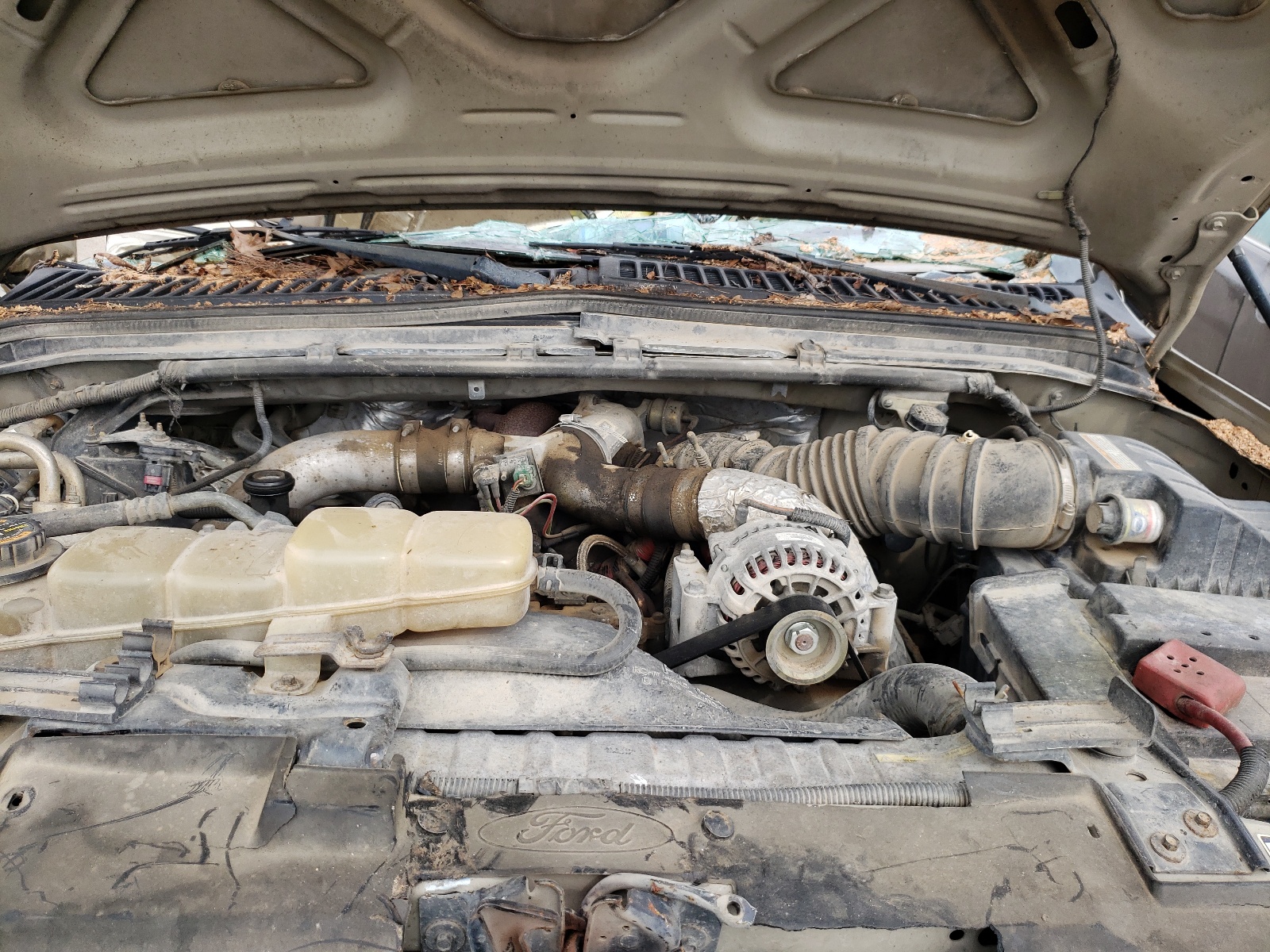 Photo 7 from auction – 2000 FORD F250 SUPER with VIN 1FTNX20F5YEB41016