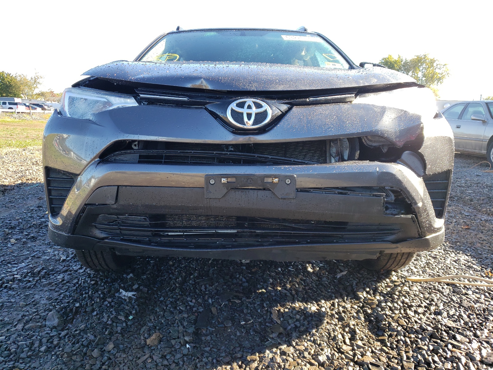 Photo 9 from auction – 2016 TOYOTA RAV4 LE with VIN JTMZFREV9GJ099856