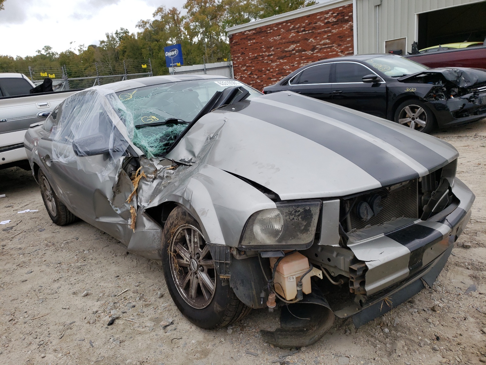 Photo 1 from auction – 2008 FORD MUSTANG with VIN 1ZVHT80N785124458