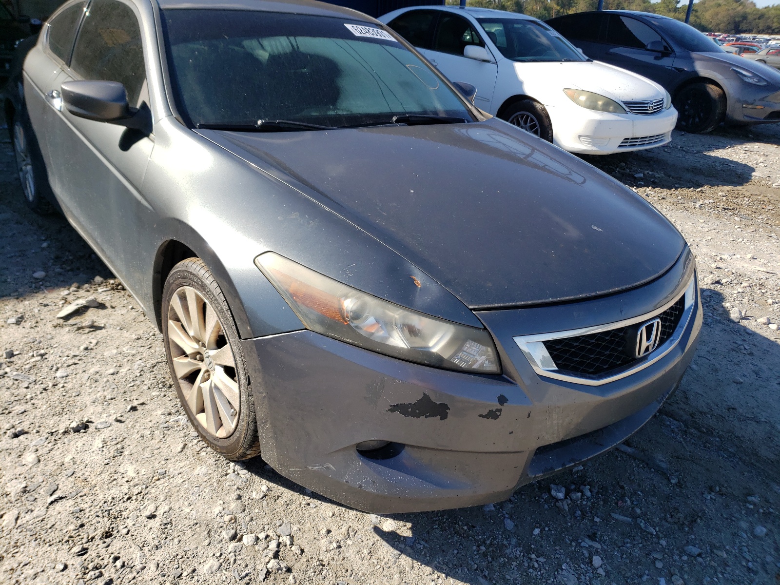 Photo 9 from auction – 2009 HONDA ACCORD EXL with VIN 1HGCS22809A004418