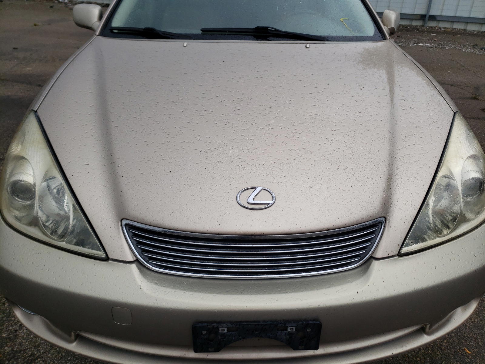 Photo 9 from auction – 2005 LEXUS ES 330 with VIN JTHBA30G255091754