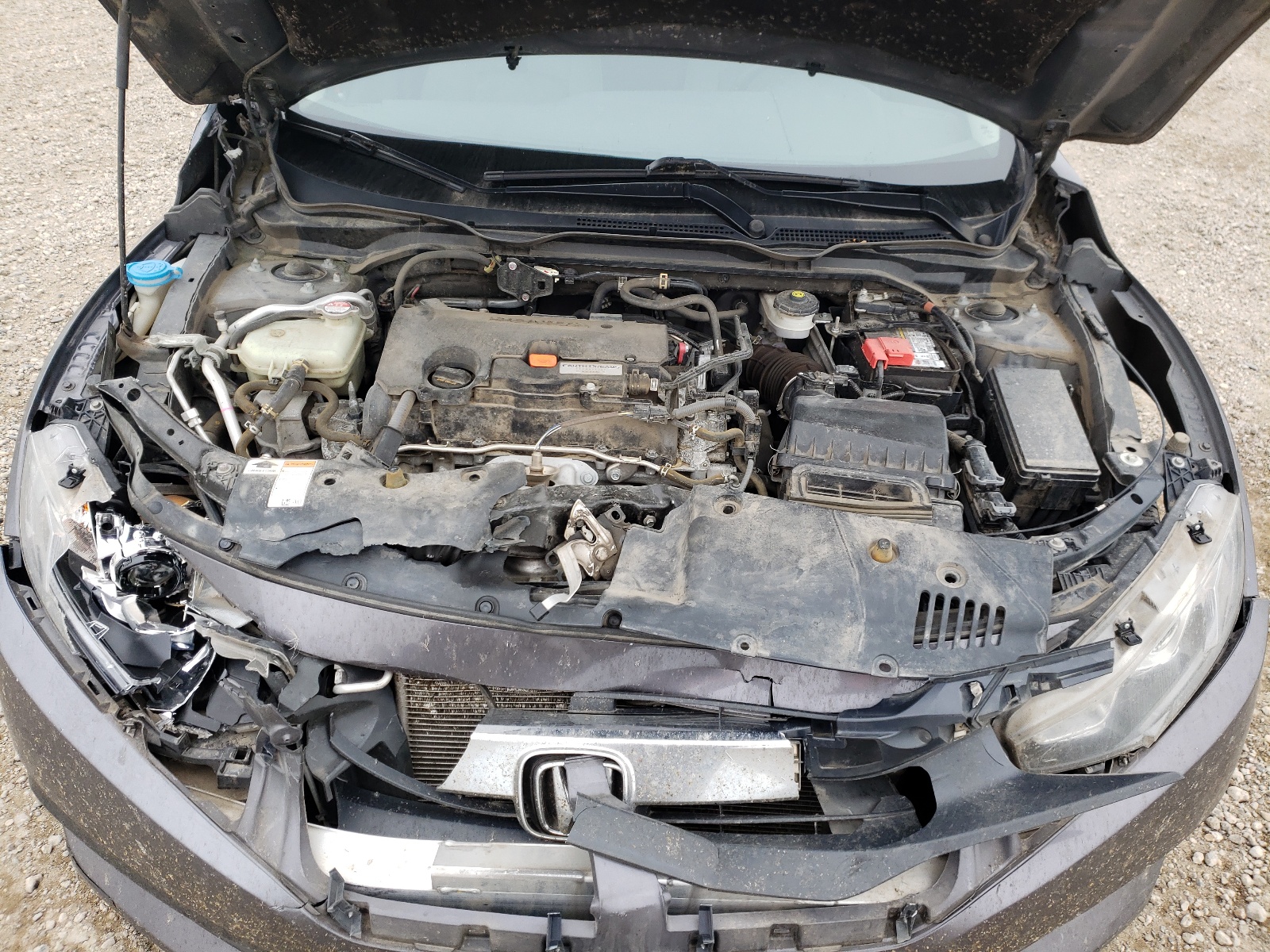 Zdjęcie 7 z aukcji – 2017 HONDA CIVIC EX z VIN 2HGFC2F71HH566405