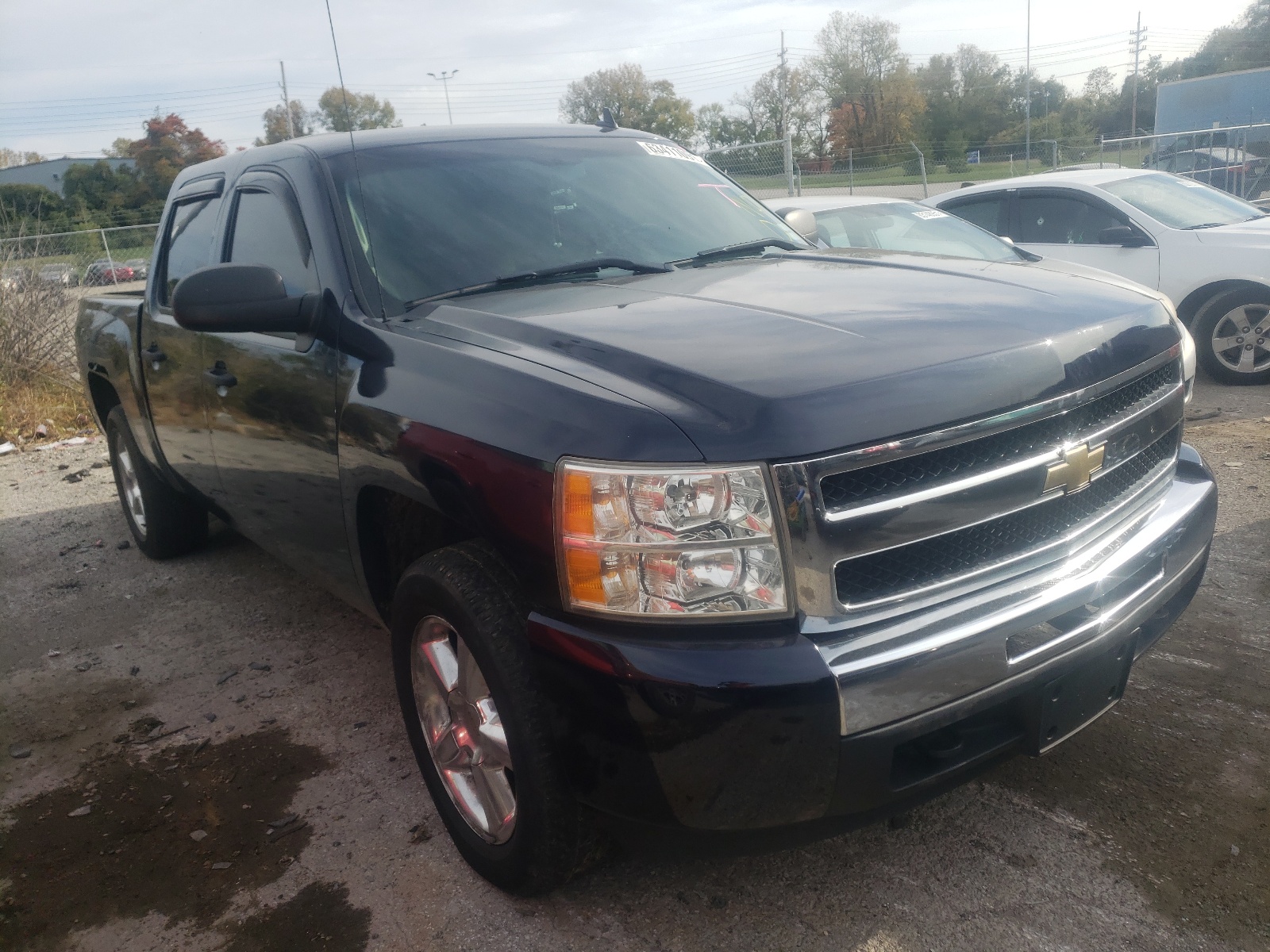 CHEVROLET SILVERADO 2009 with VIN 3GCEC230X9G176647 - Photo from auction