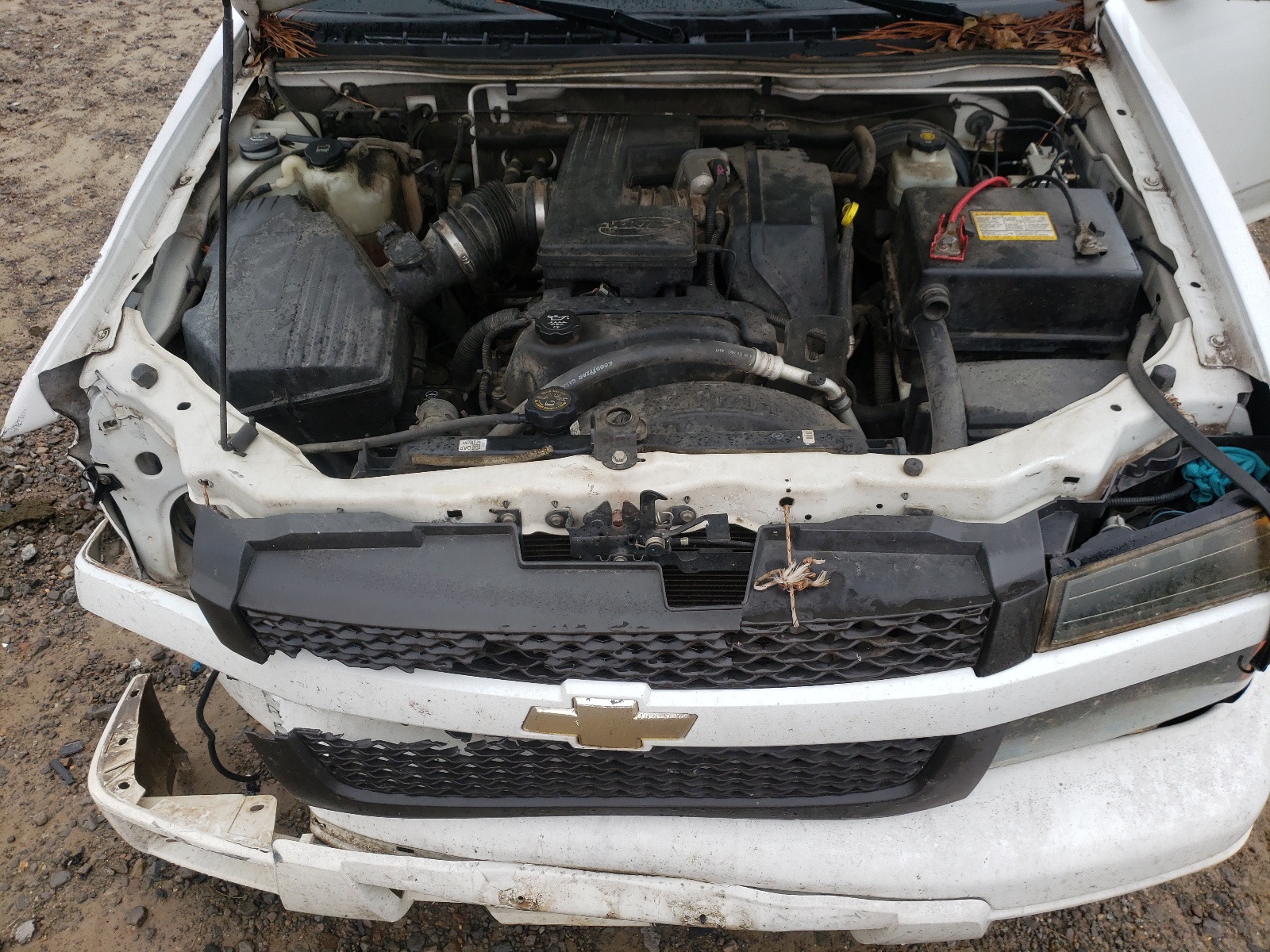 Photo 7 from auction – 2005 CHEVROLET COLORADO with VIN 1GCCS196258147319
