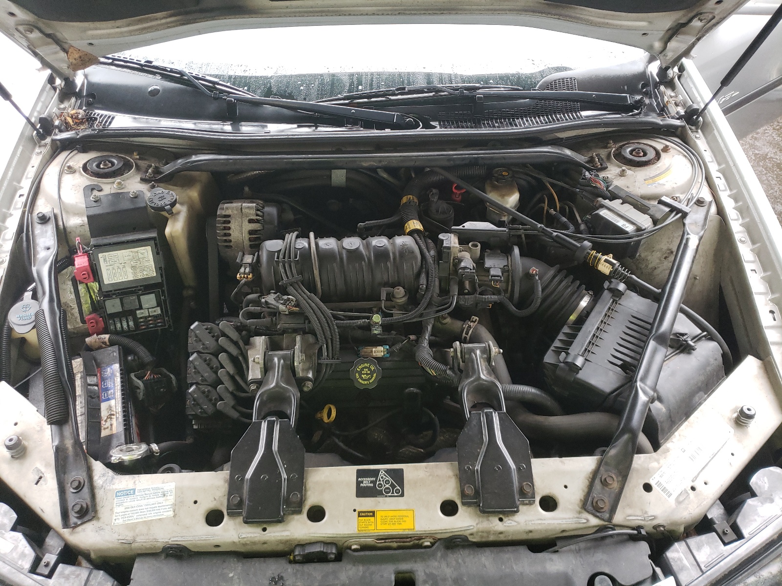 Photo 7 from auction – 2001 CHEVROLET IMPALA LS with VIN 2G1WH55K519154407